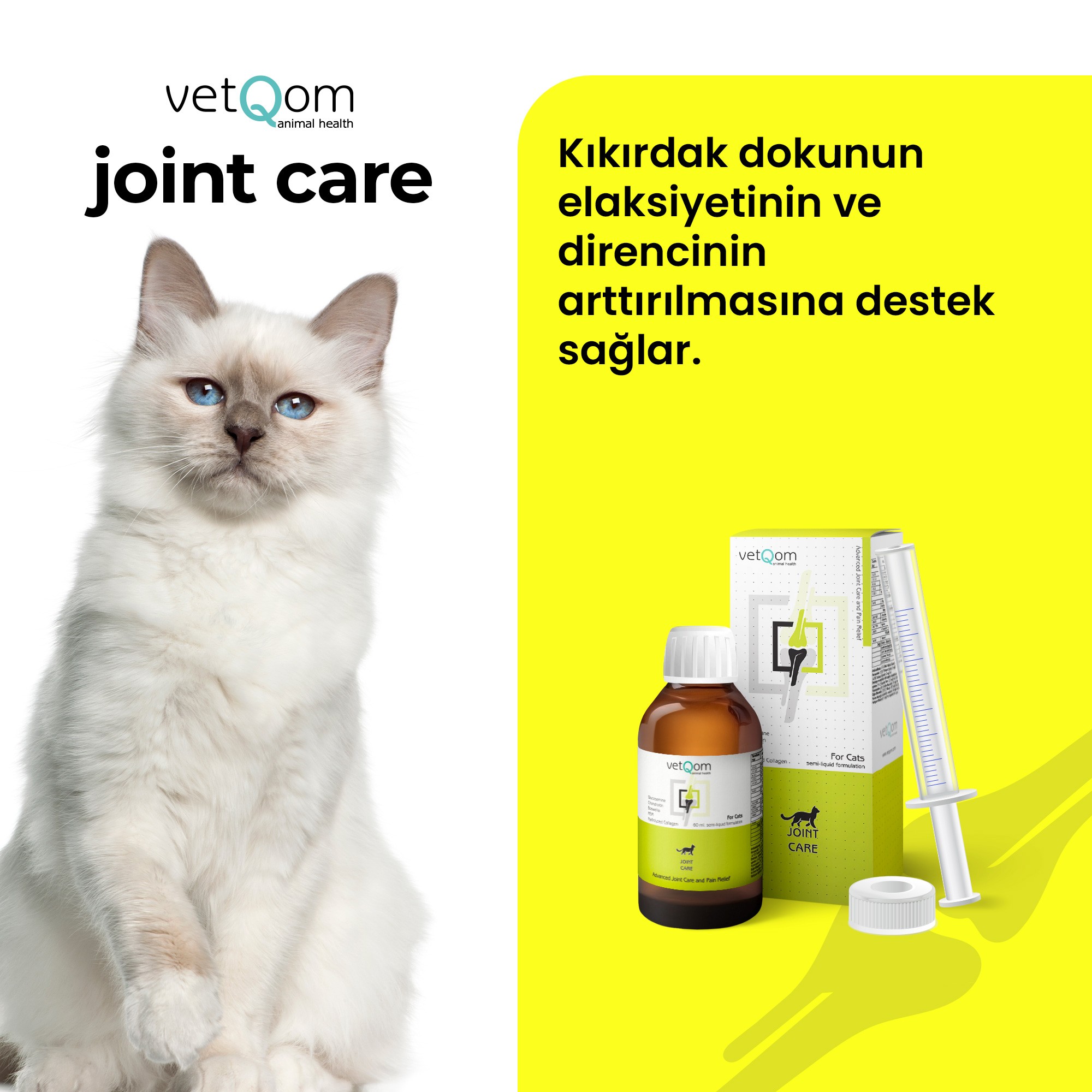 Cat Joint Care – Joint Health – Pain Management – ​​60 ml.