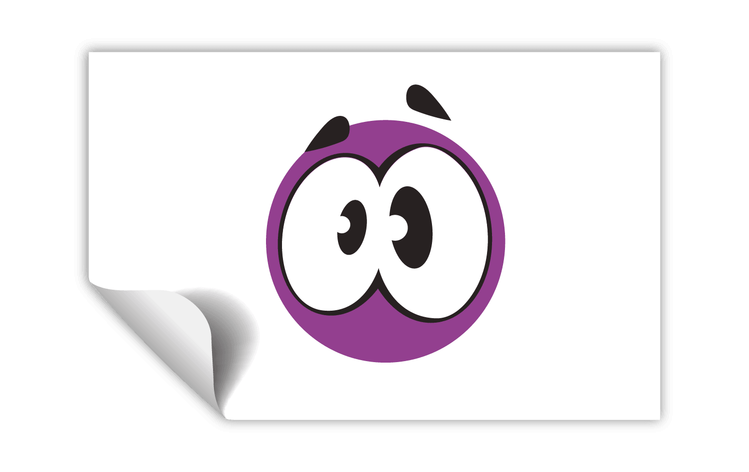 Dikdörtgen Şeffaf Folyo