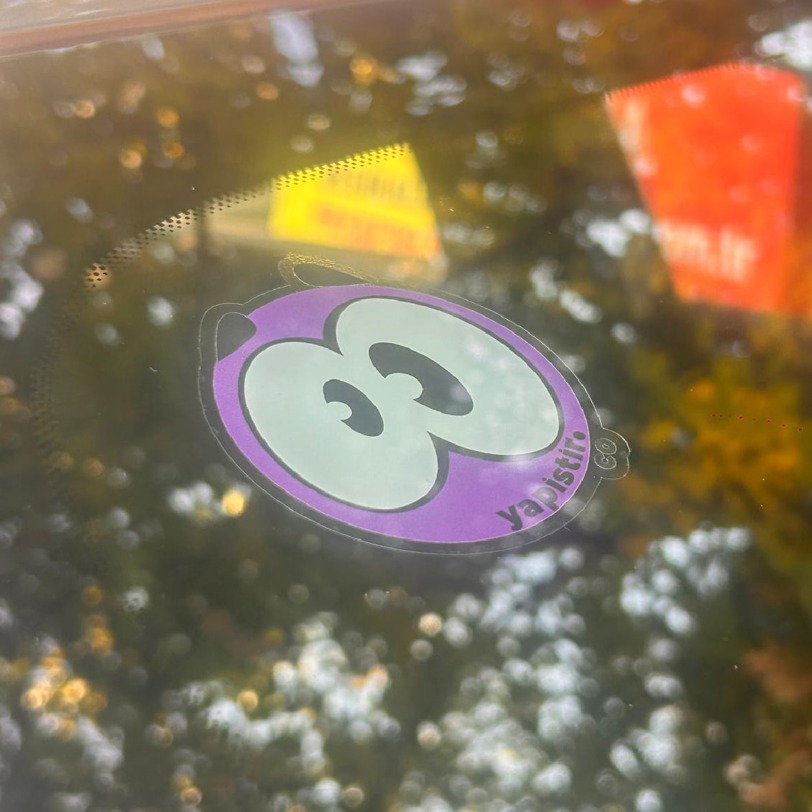 Özel Kesim Şeffaf Folyo