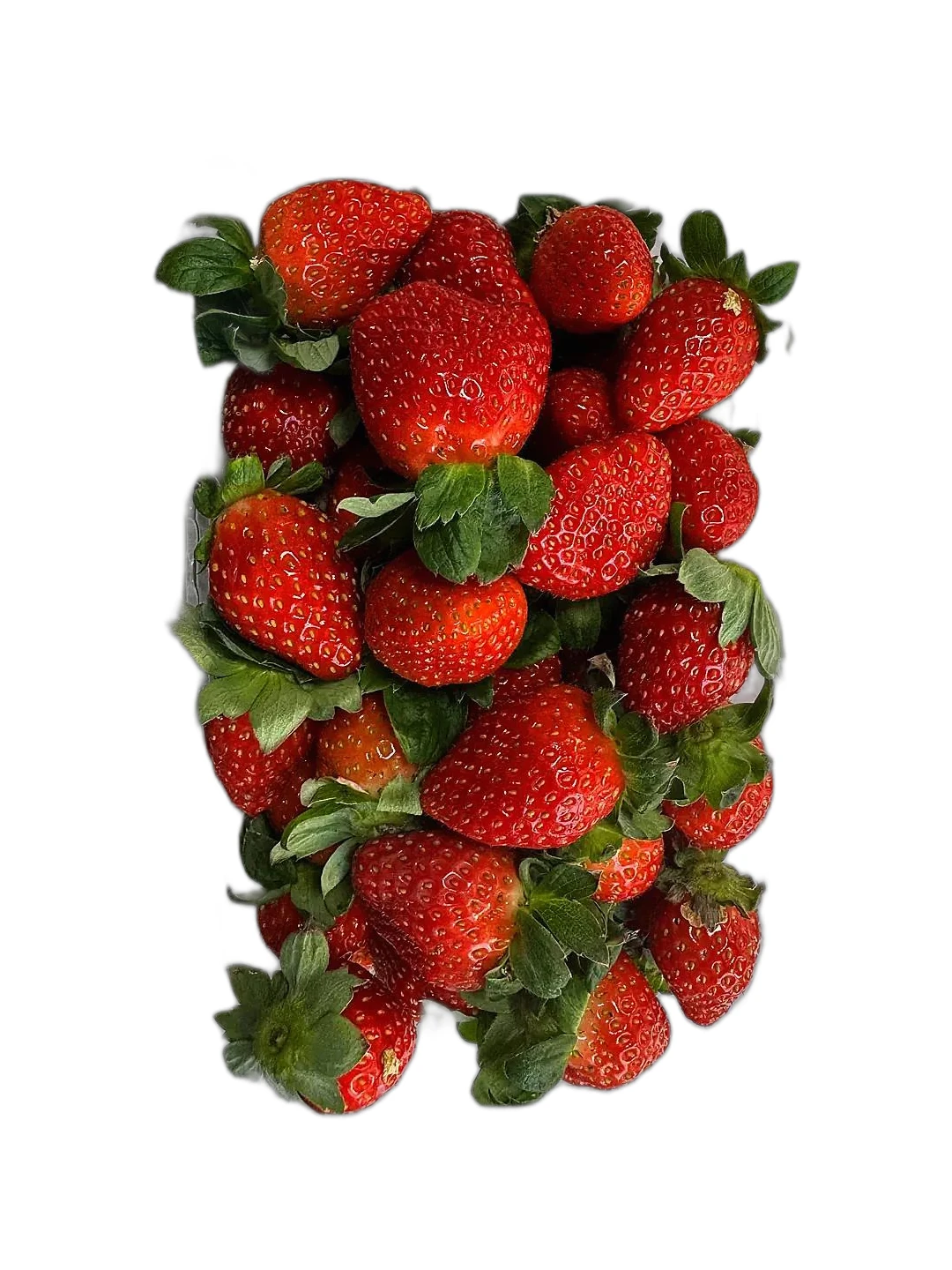 500gr Özbilen Tarım Çilek