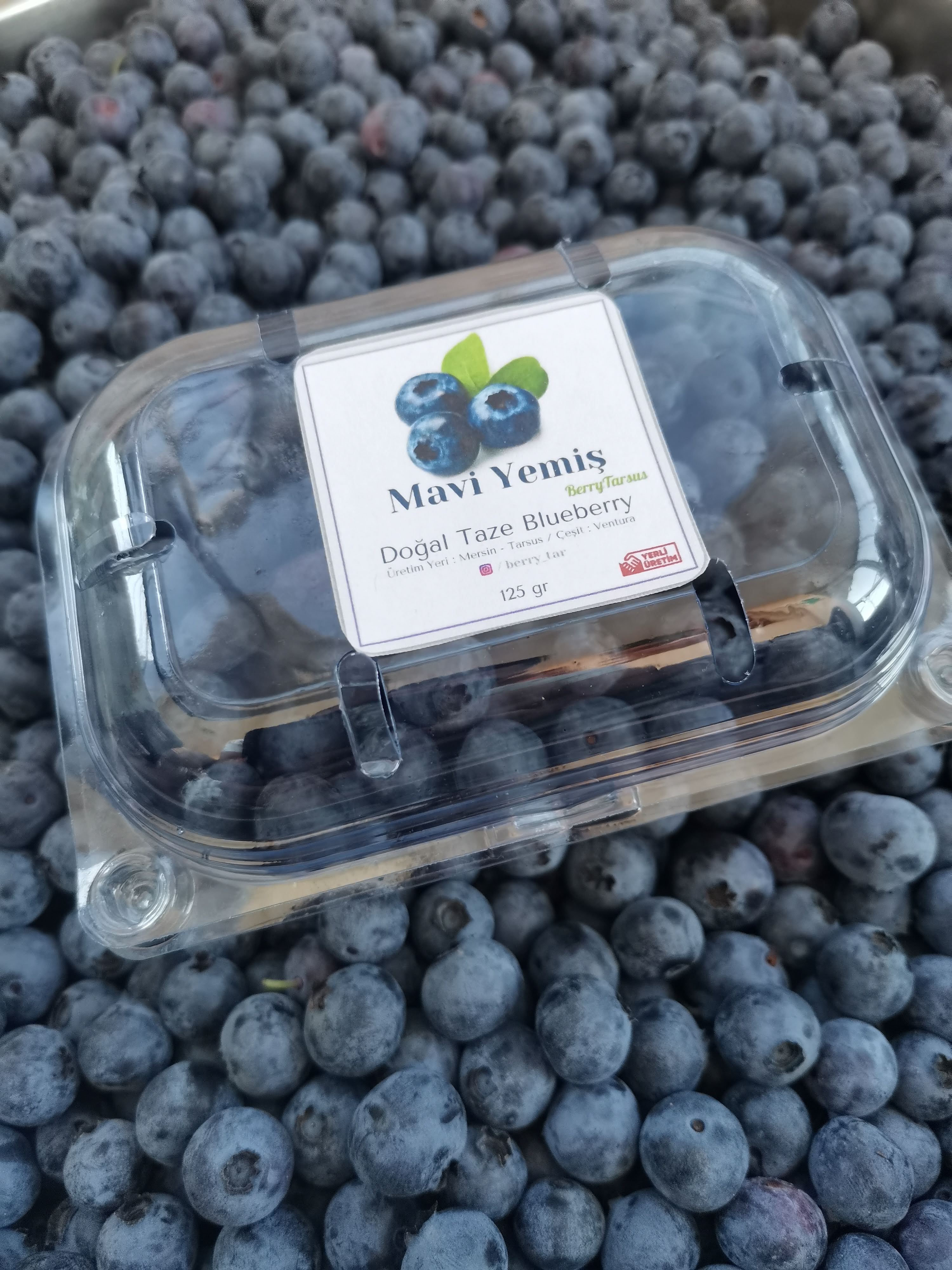 125gr Organik Yaban Mersini