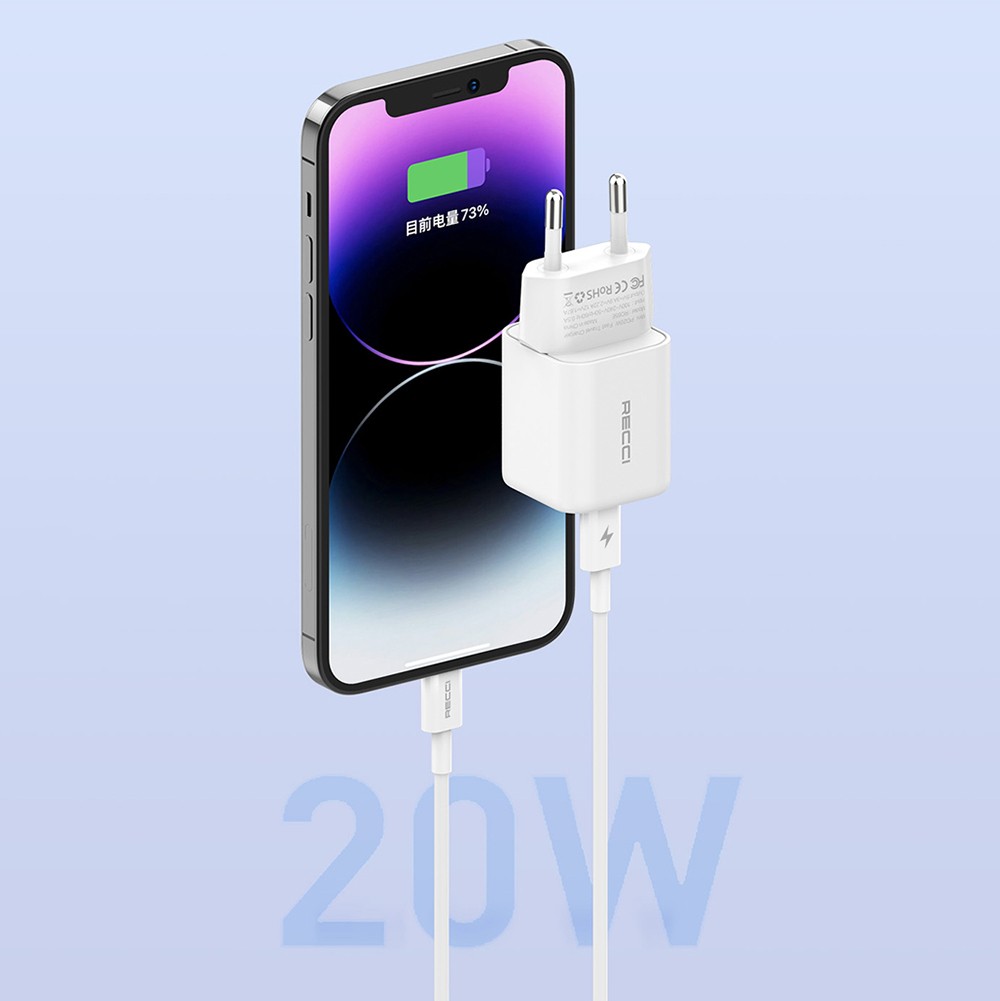 Recci RC65E Hızlı Şarj Başlığı Type-C to Lightning PD 20W Kablolu Şarj Seti