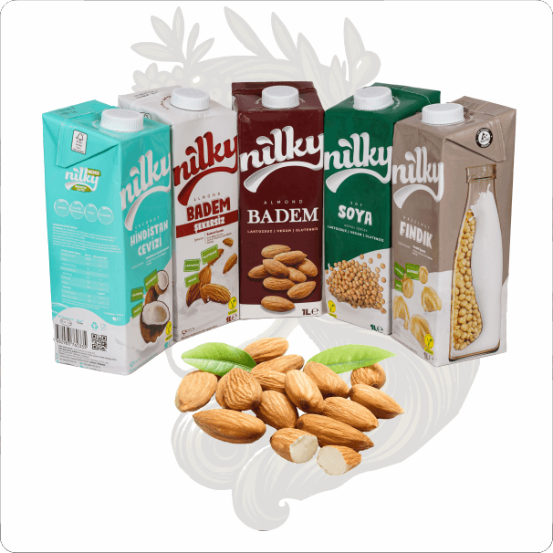 İTHAL NİLKY FINDIKLI İÇEÇEK 1 LT