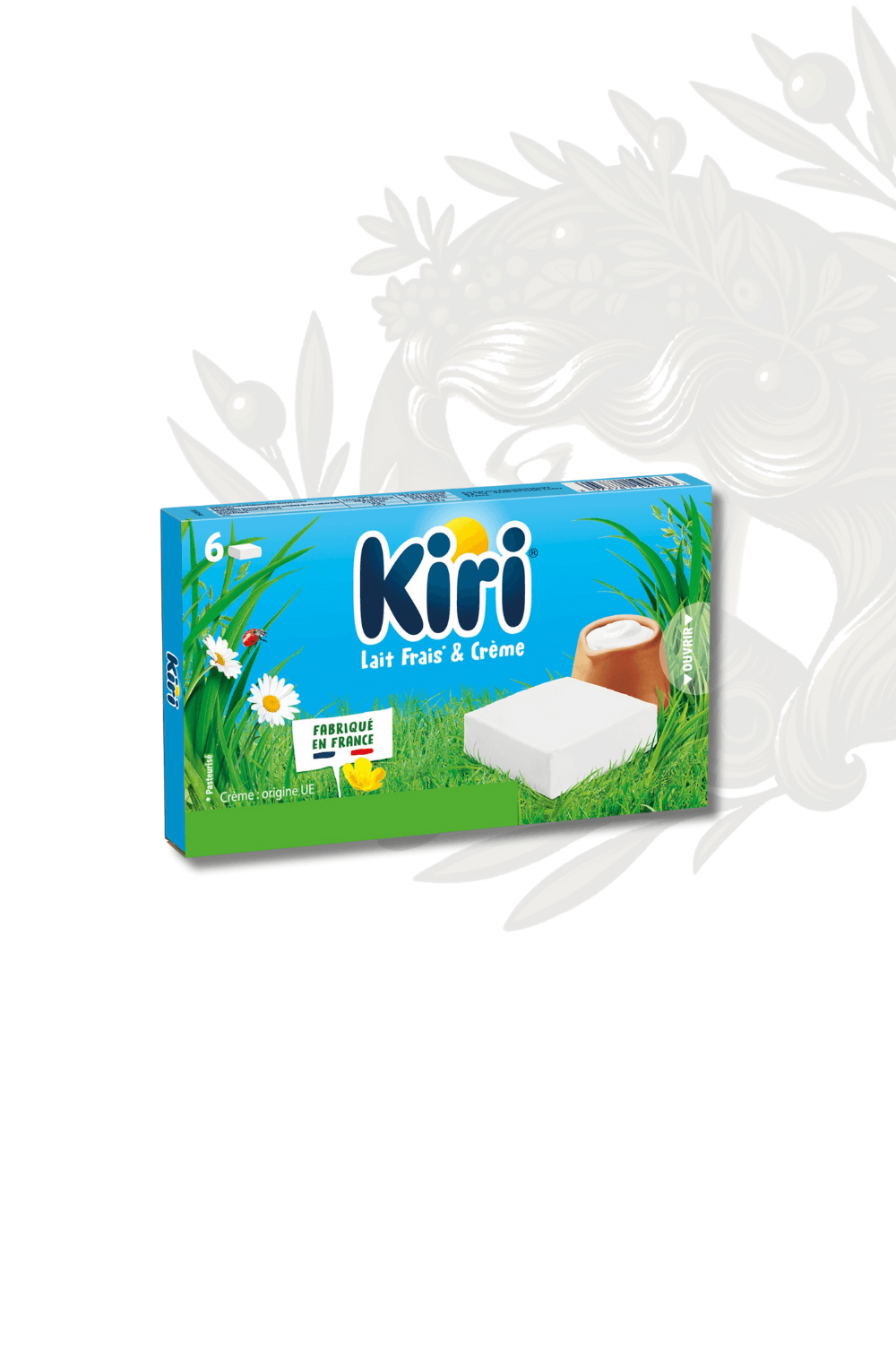 KARPER KİRİ 100 GR 6 LI (İTHAL)