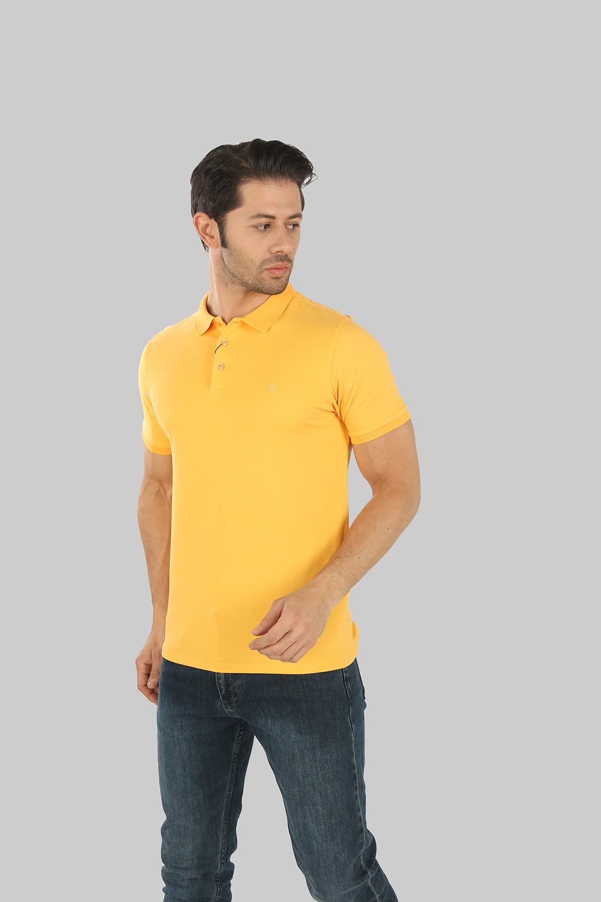 ERKEK PAMUKLU SLIM FIT POLO YAKA T-SHIRT 40100-23