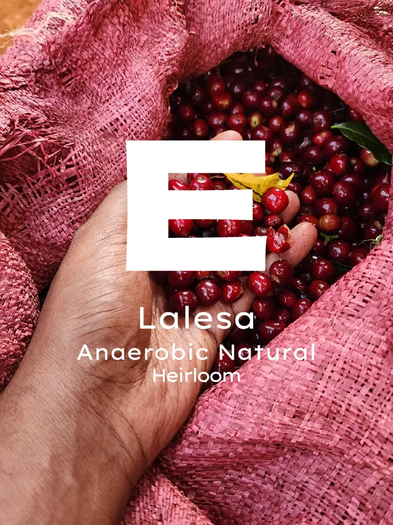 Etiyopya Lalesa Natural Anaerobik