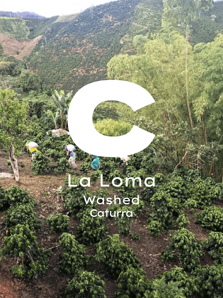 Kolombiya La Loma