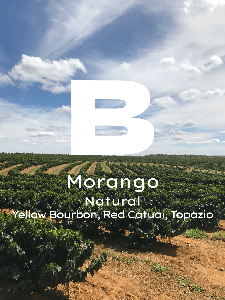 Brezilya Morango