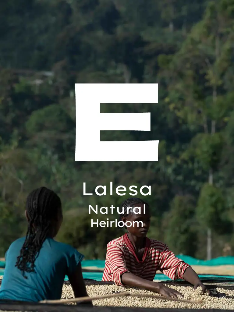 Etiyopya Lalesa
