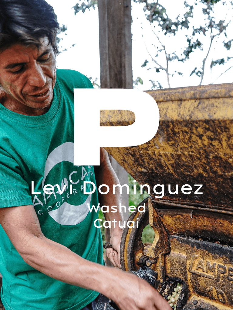 Peru Levi Dominguez