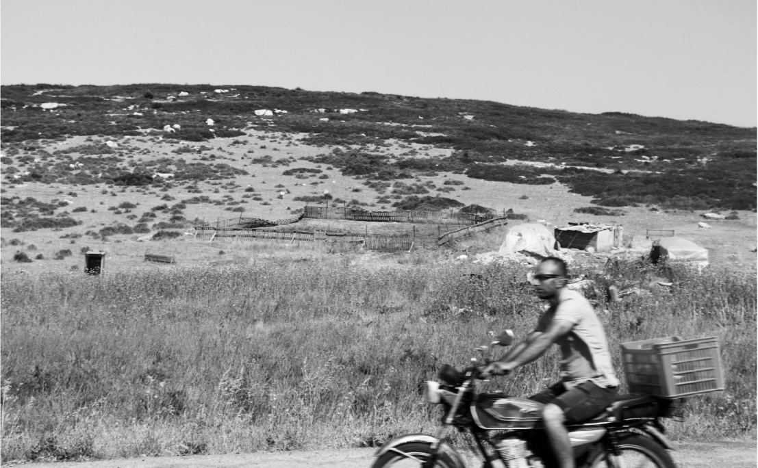 Gülenay Süer - COUNTYMAN