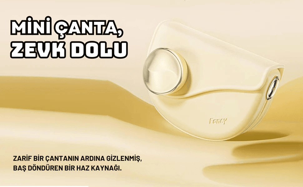 FANCYBAG