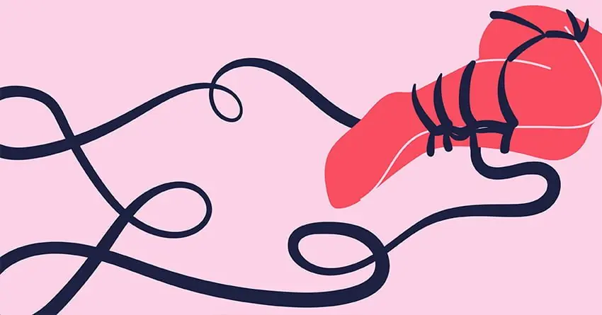 Kırmızı ve lacivert iplerle sıkıca sarılmış stilize bir vücut uzvu veya bölgesi detay çizimi.