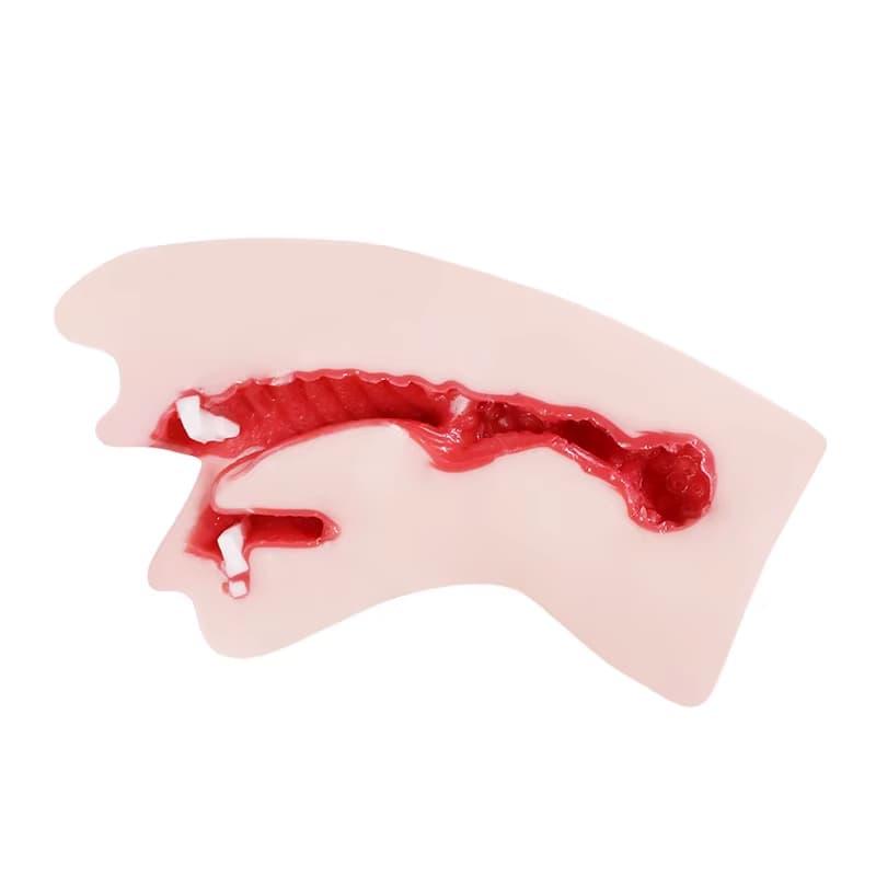 Realistik Oral Mastürbatör