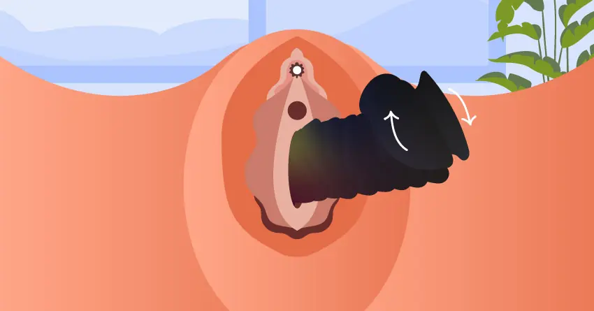 Vajinal penetrasyon detayı: Siyah tırtıklı bir dildonun vajina içine girişini ve dönme hareketini gösteren yakın çekim anatomik illüstrasyon.