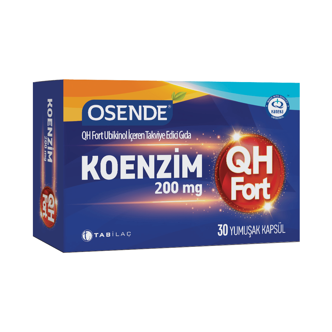 Osende QH Fort