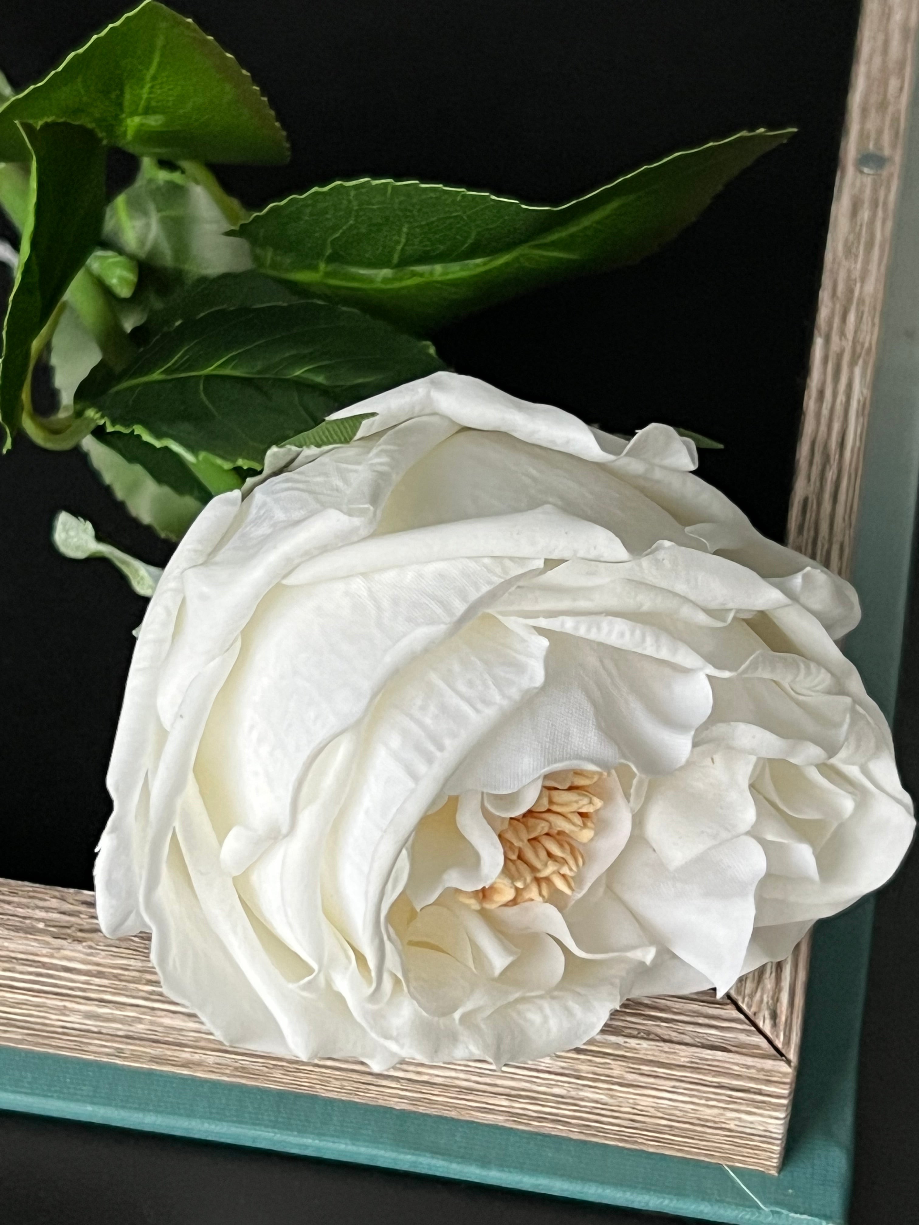 Beyaz Islak Şakayık Dal 45 cm