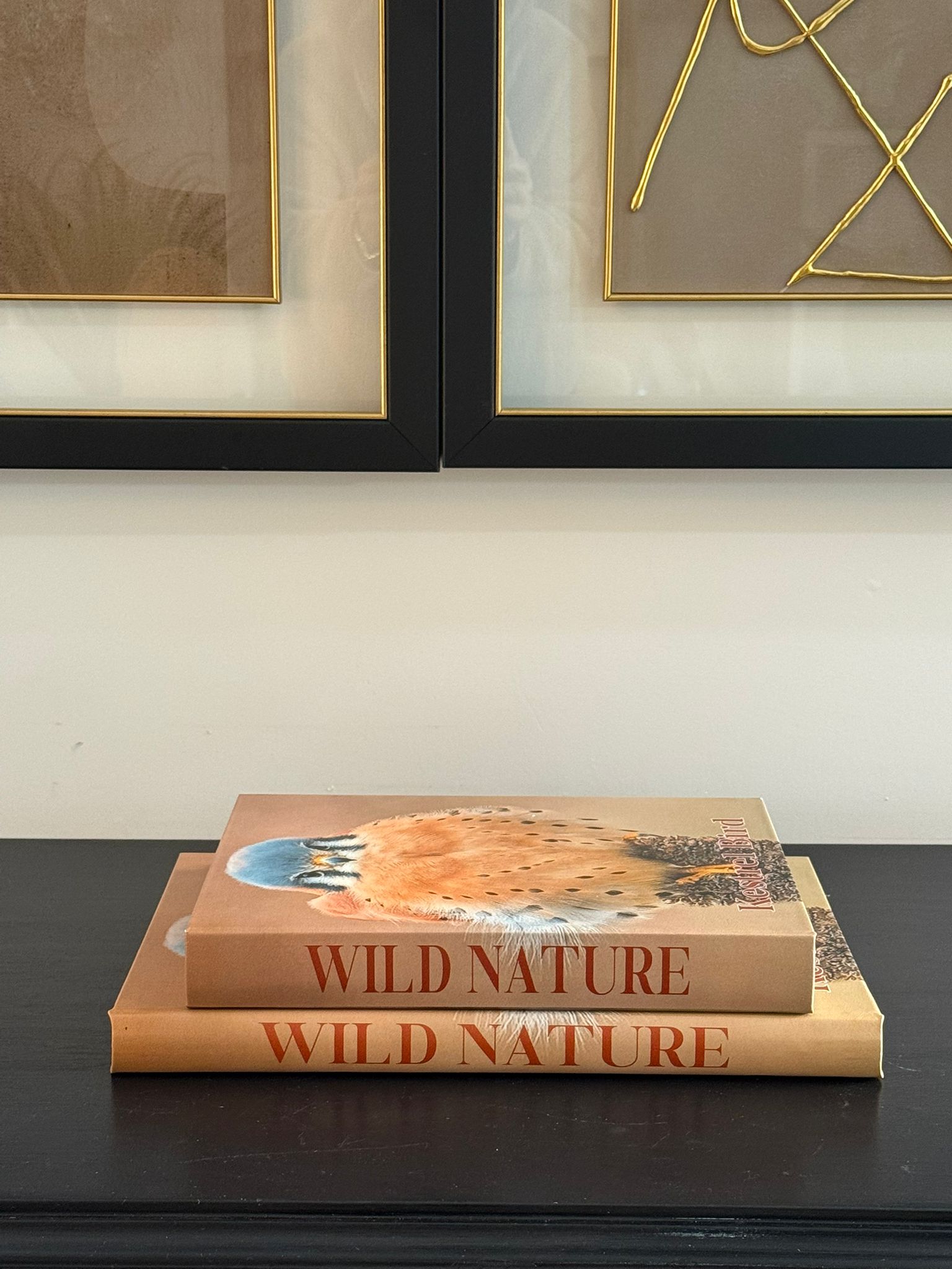 Deri Kaplı Kitap Kutu Kestel Bird 2li