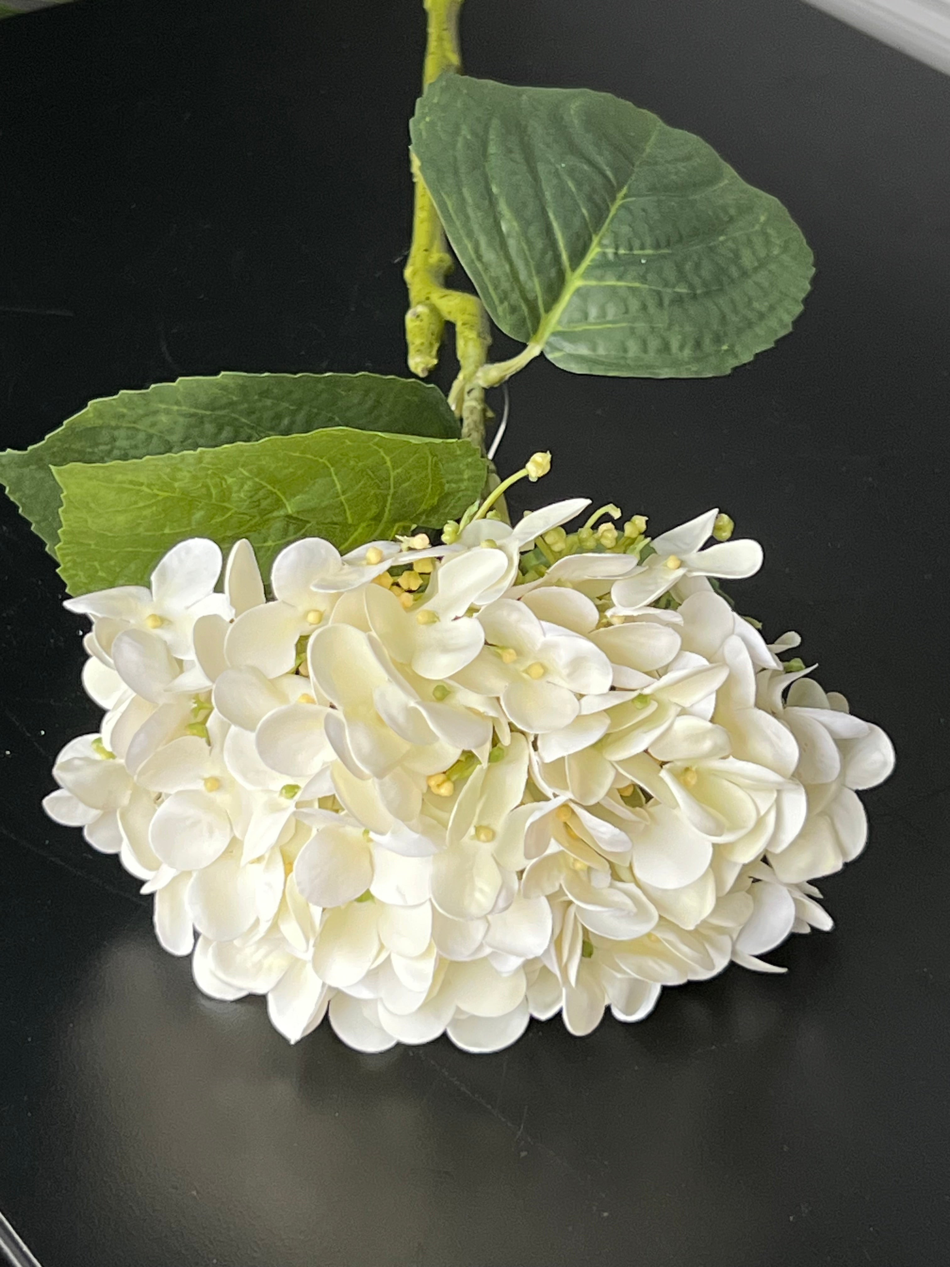 Islak Ortanca Kırık Beyaz Dal 50 cm