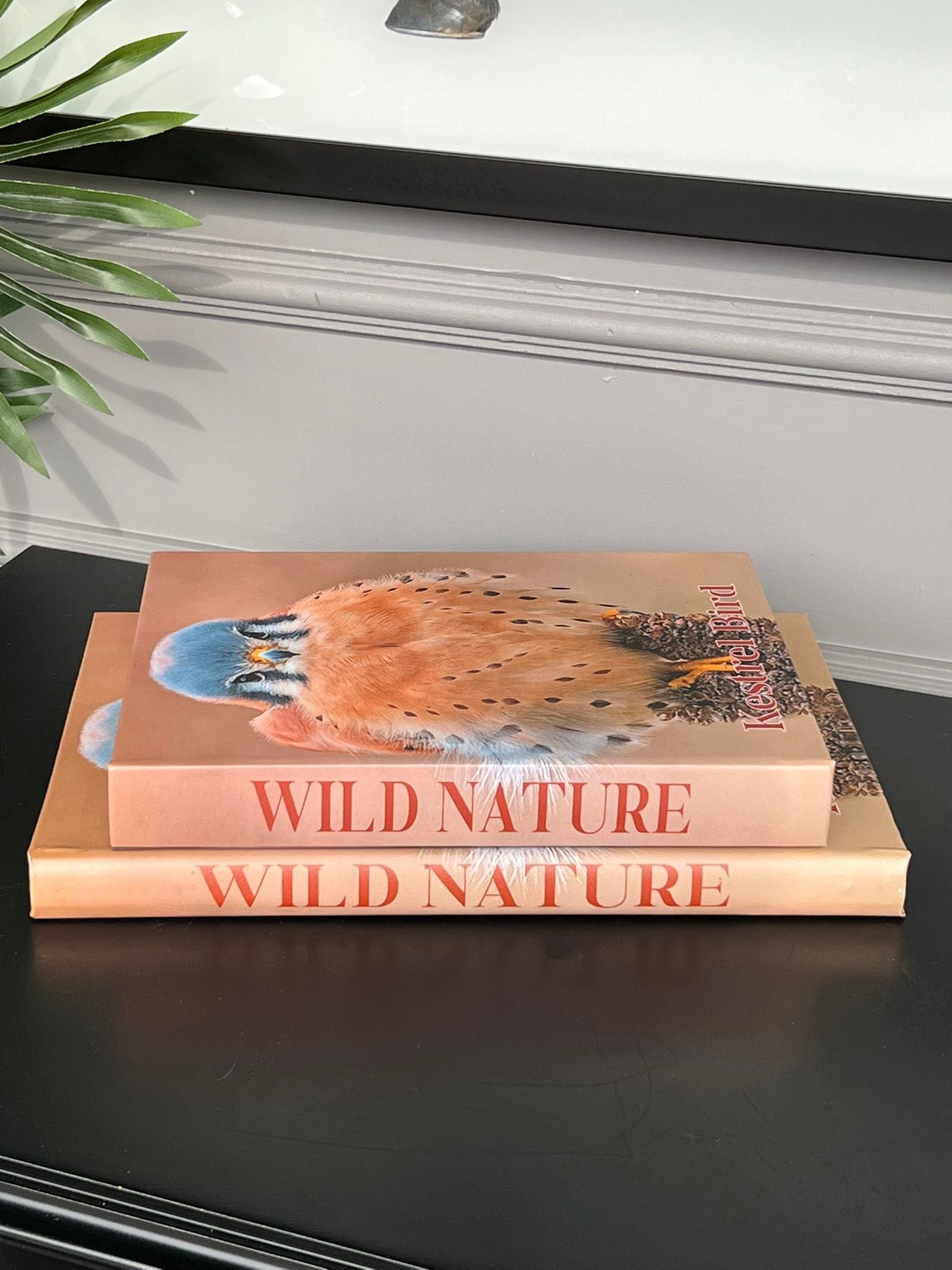 Kitap Kutu Kestrel Bird 2li