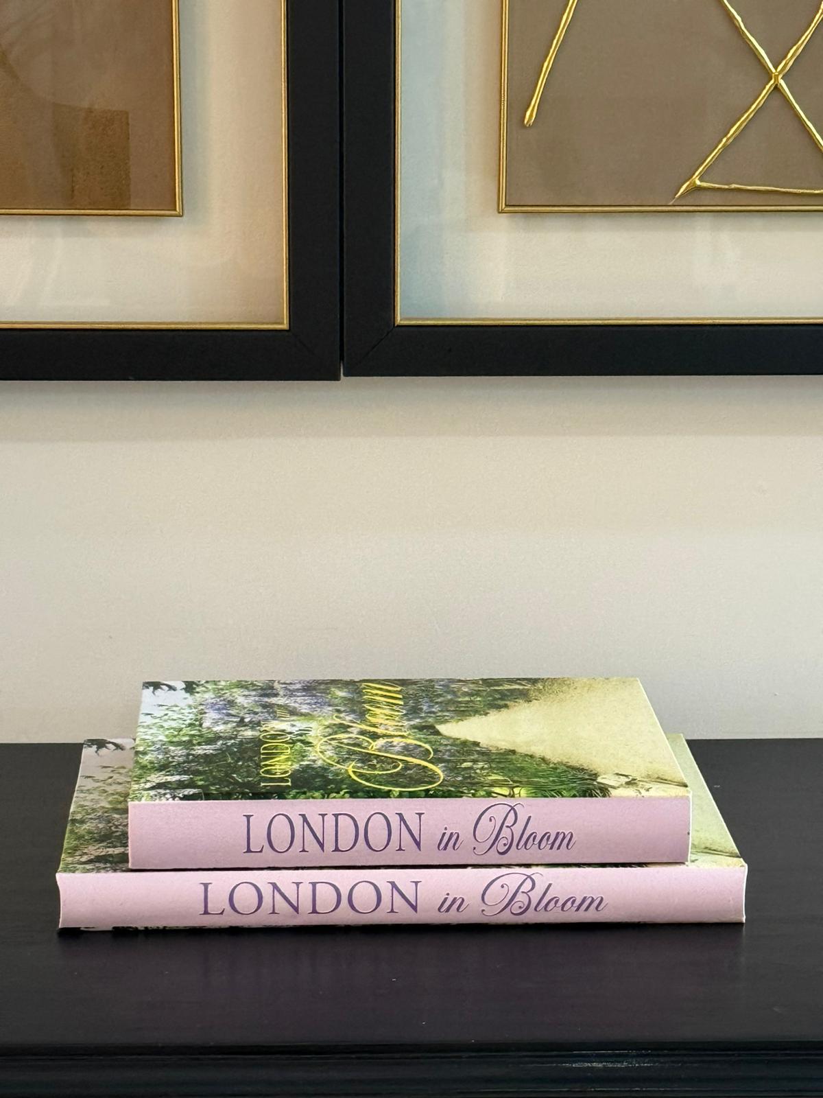 Deri Kaplı Kitap Kutu London Bloom 2li 