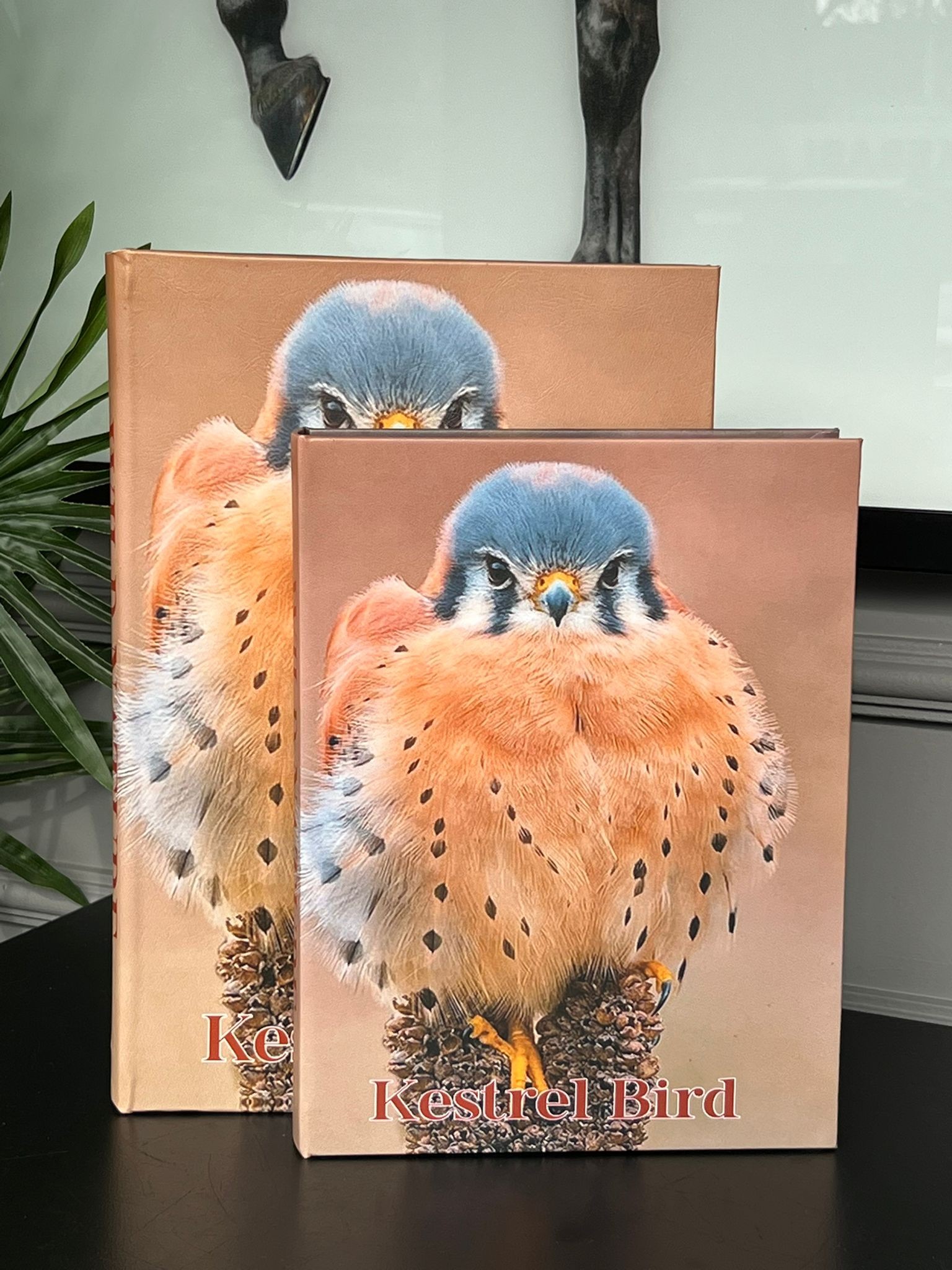 Kitap Kutu Kestrel Bird 2li
