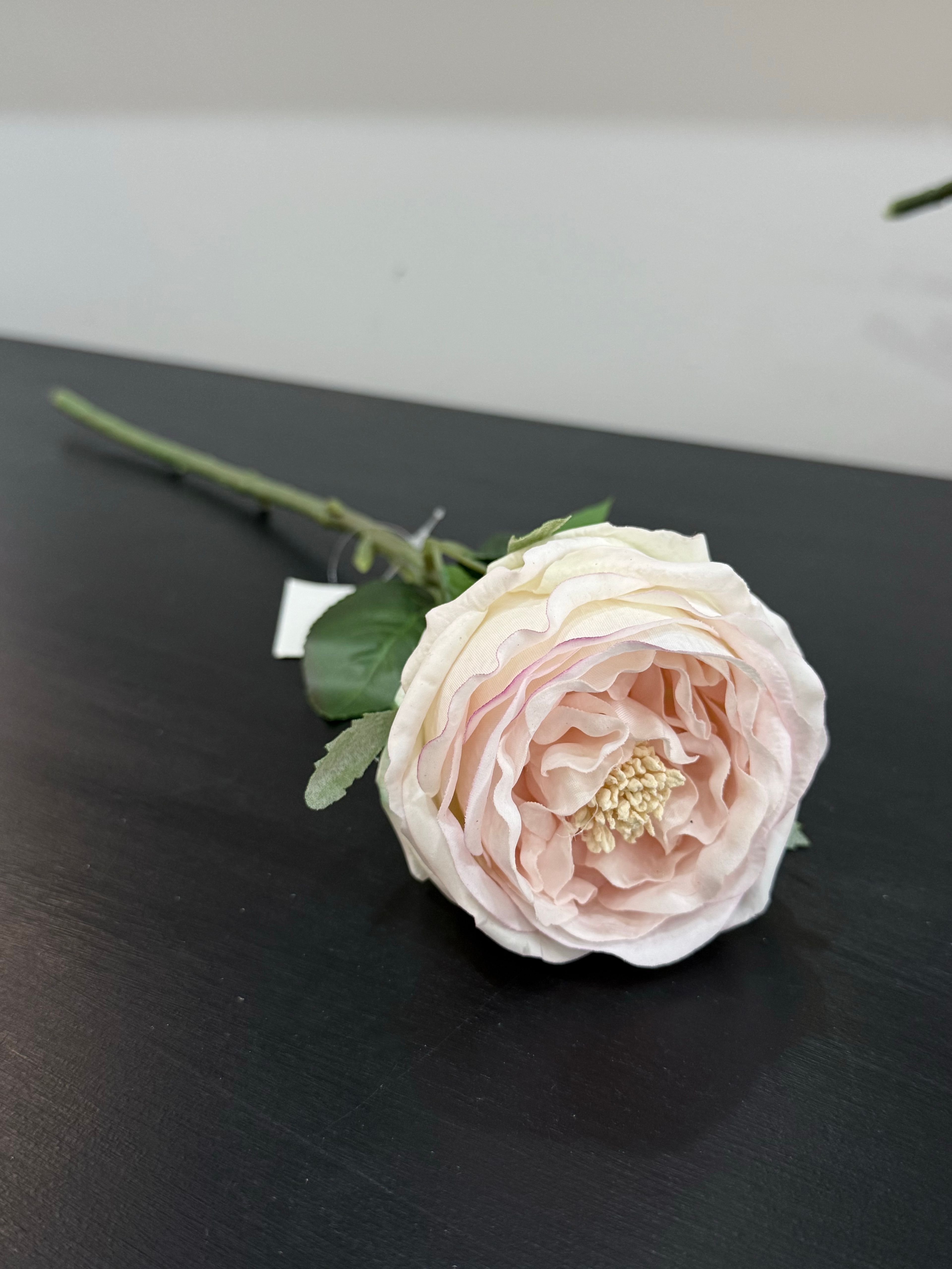 Islak Şakayık Allıklı Pembe 45 cm 