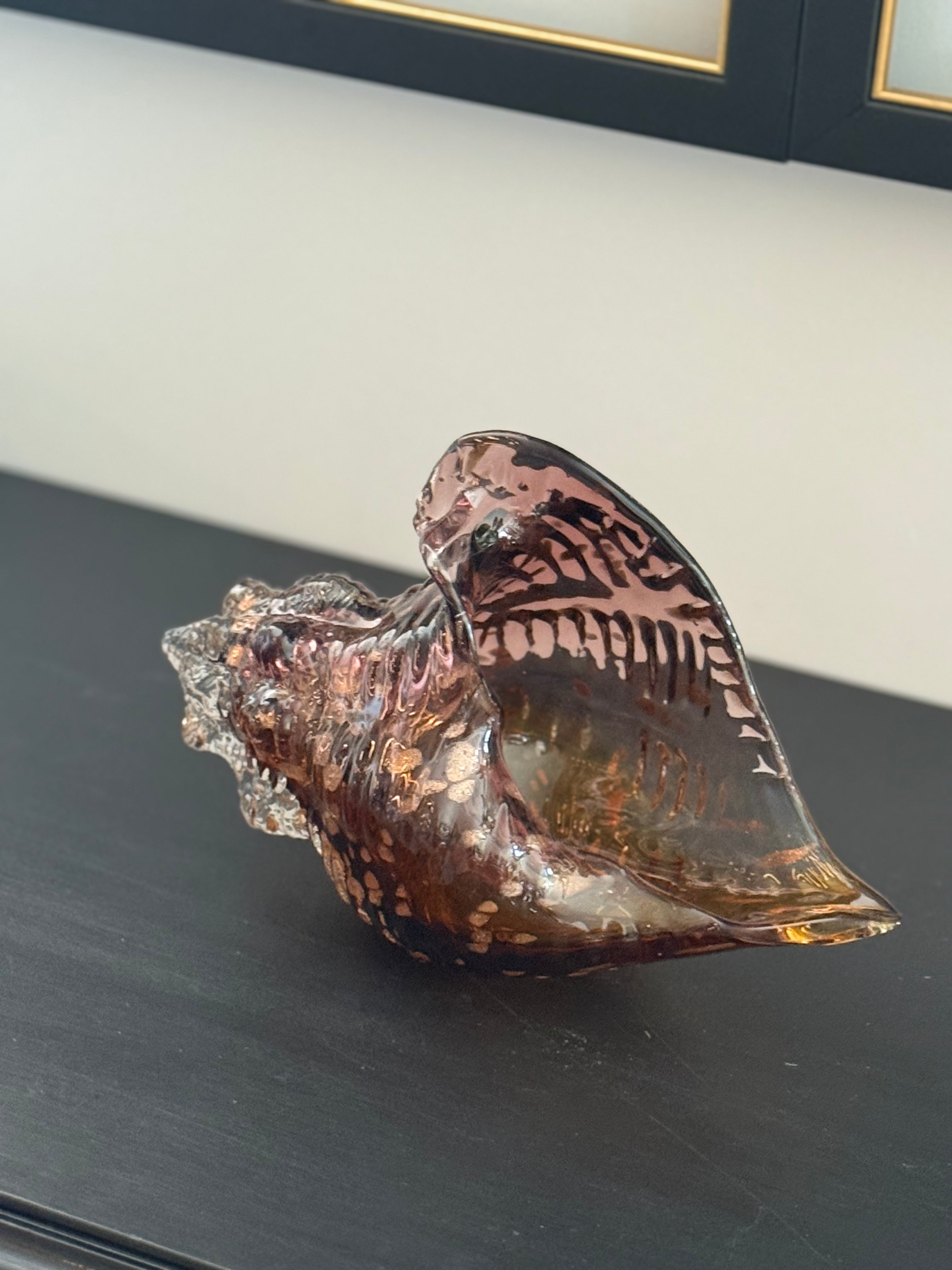 Cam Amber Deniz Kabuğu