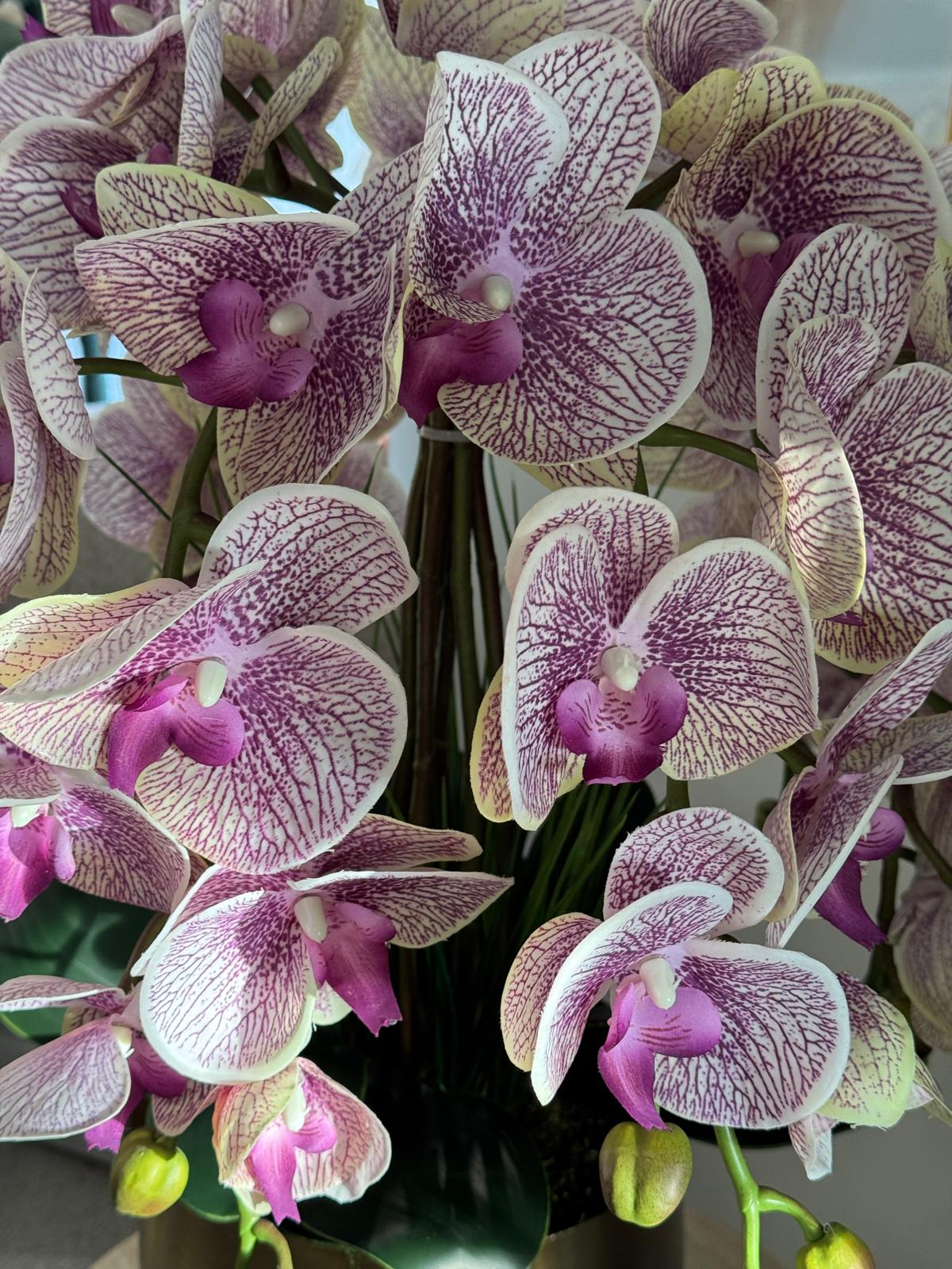 Eskitme Japon Vazoda Pembe Lux  Islak 6 Dal Orkide Aranjmanı