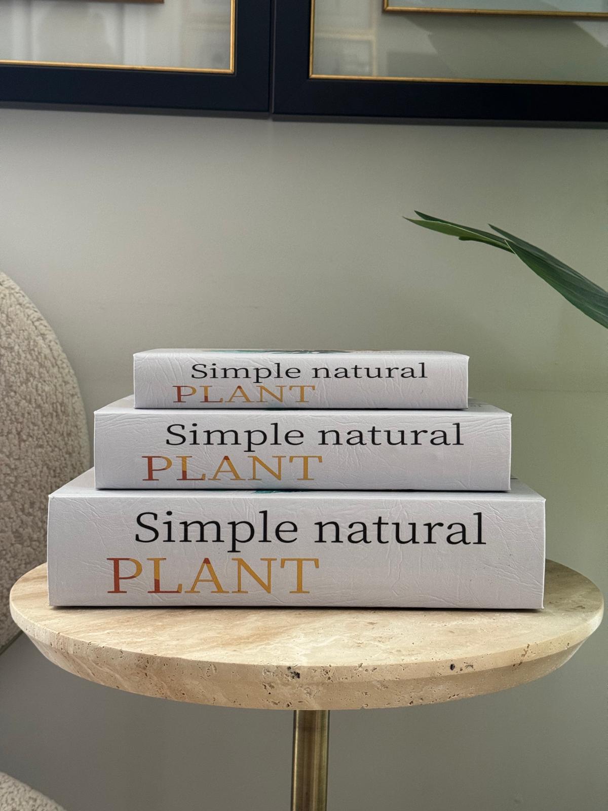 Kitap Kutu Planet İçi Ahşap Dışı Deri 3lü