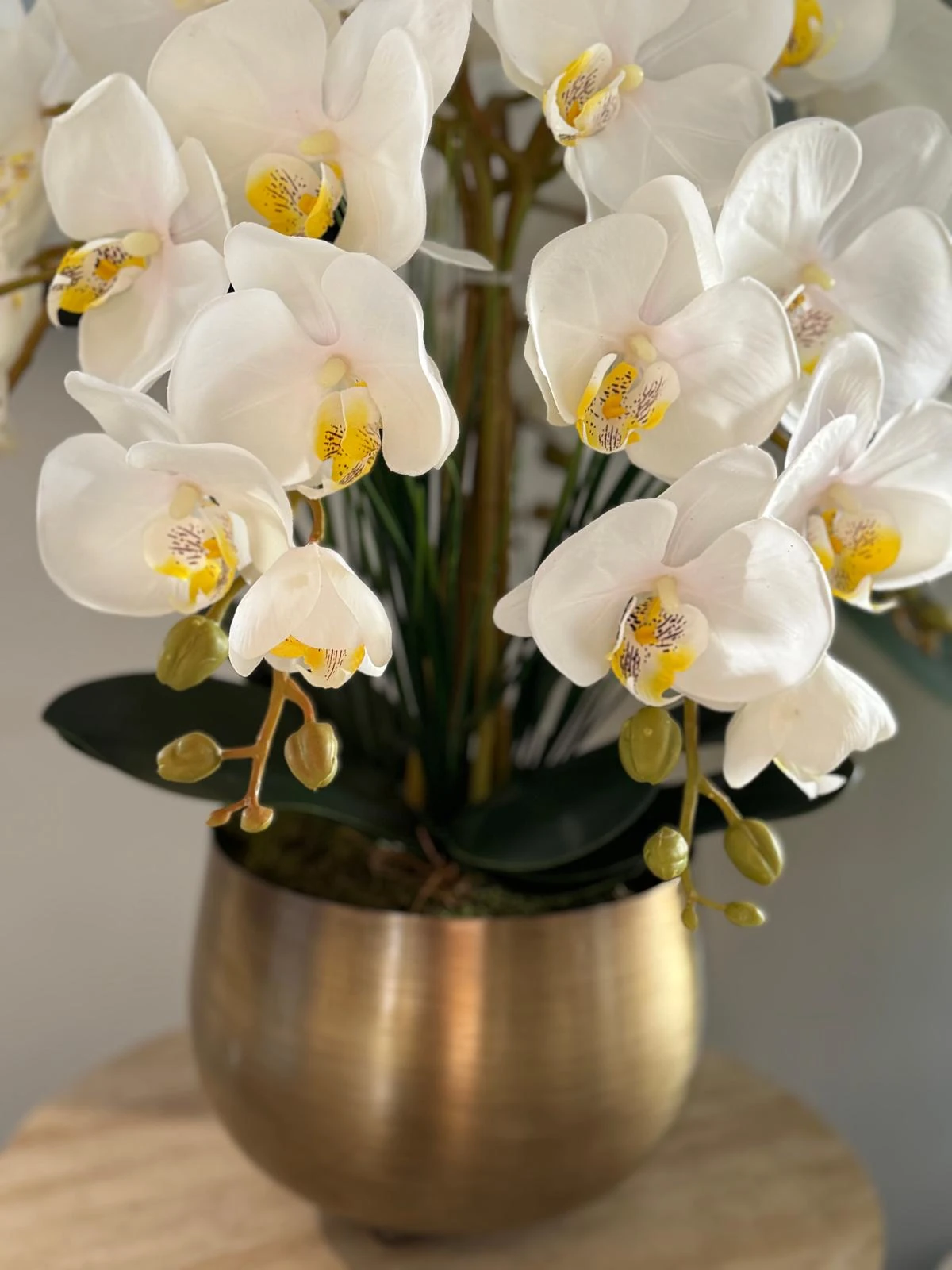 Eskitme Japon Vazoda Beyaz Islak Lux 5 Dal Orkide Aranjmanı