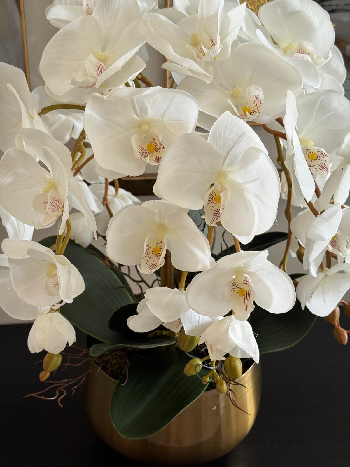 Japon Eskitme Vazoda 5 Dal Luxury Islak Orkide Aranjmanı 