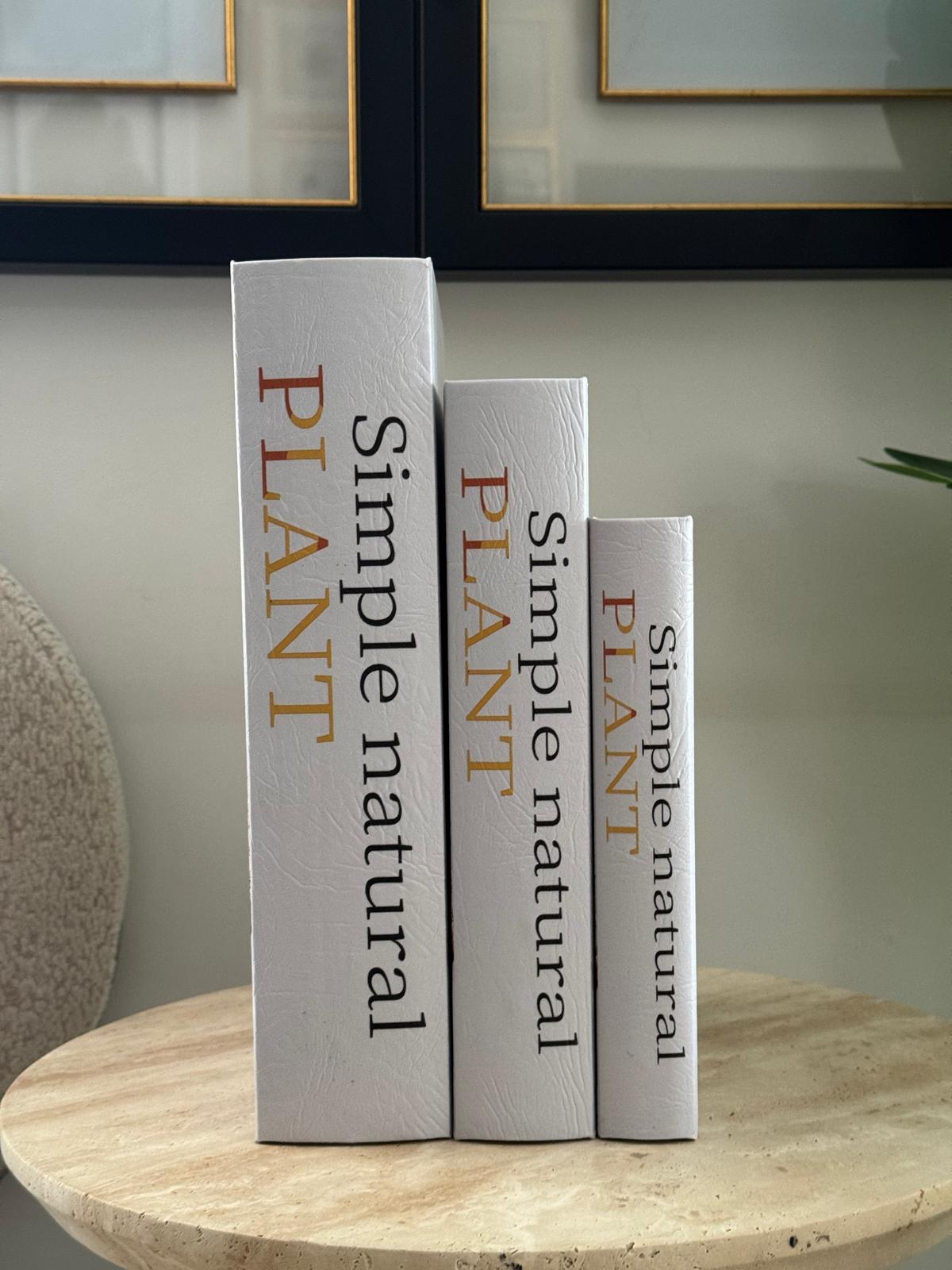 Kitap Kutu Planet İçi Ahşap Dışı Deri 3lü