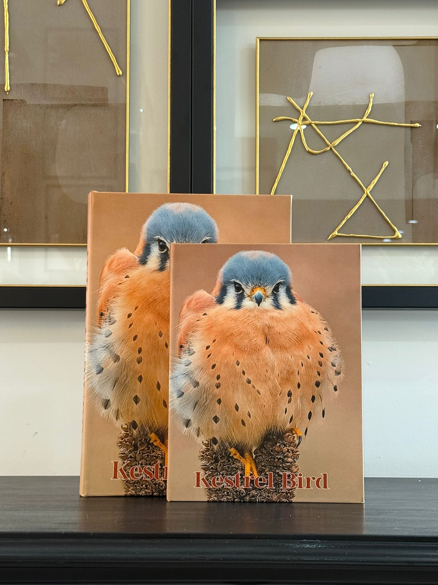 Deri Kaplı Kitap Kutu Kestel Bird 2li