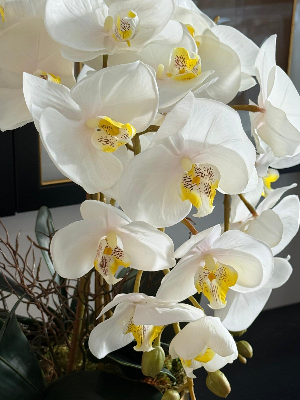 Japon Eskitme Vazoda 5 Dal Luxury Islak Orkide Aranjmanı 