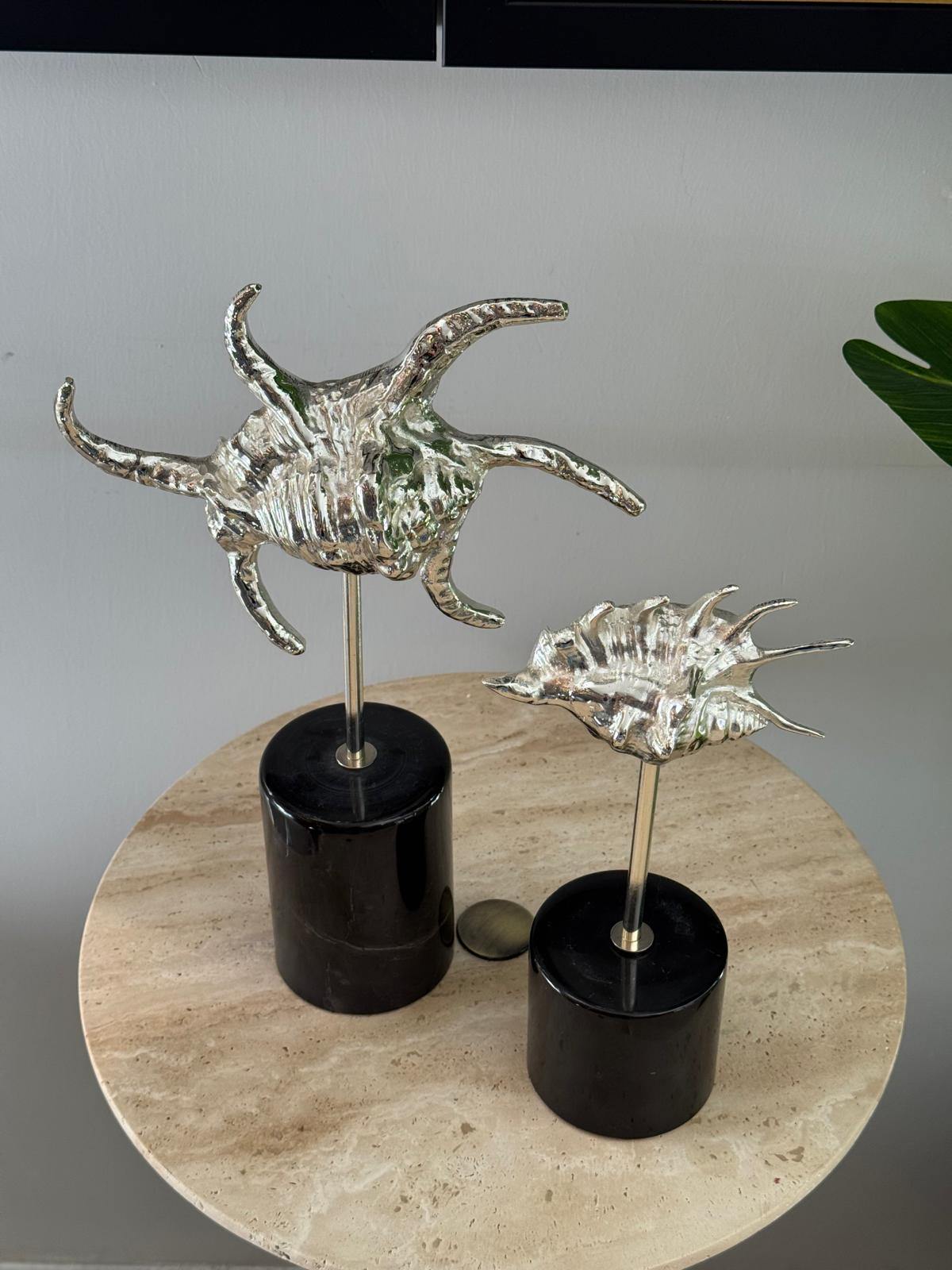 Mermer Kaideli Deniz Kabuğu 2li