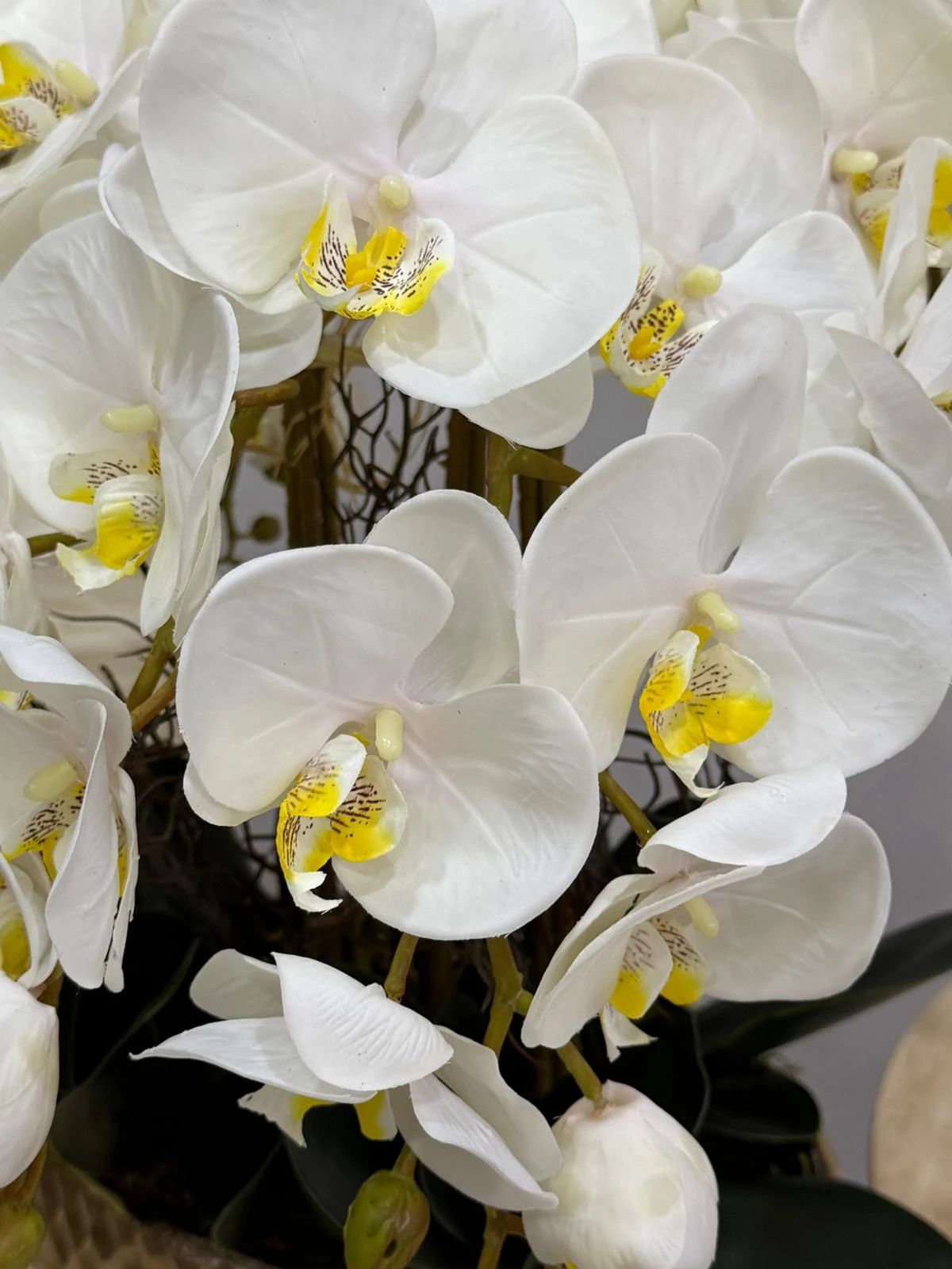 İthal Gold Döküm Vazoda 8 Dal Lüx Islak Orkide Arajmanı 