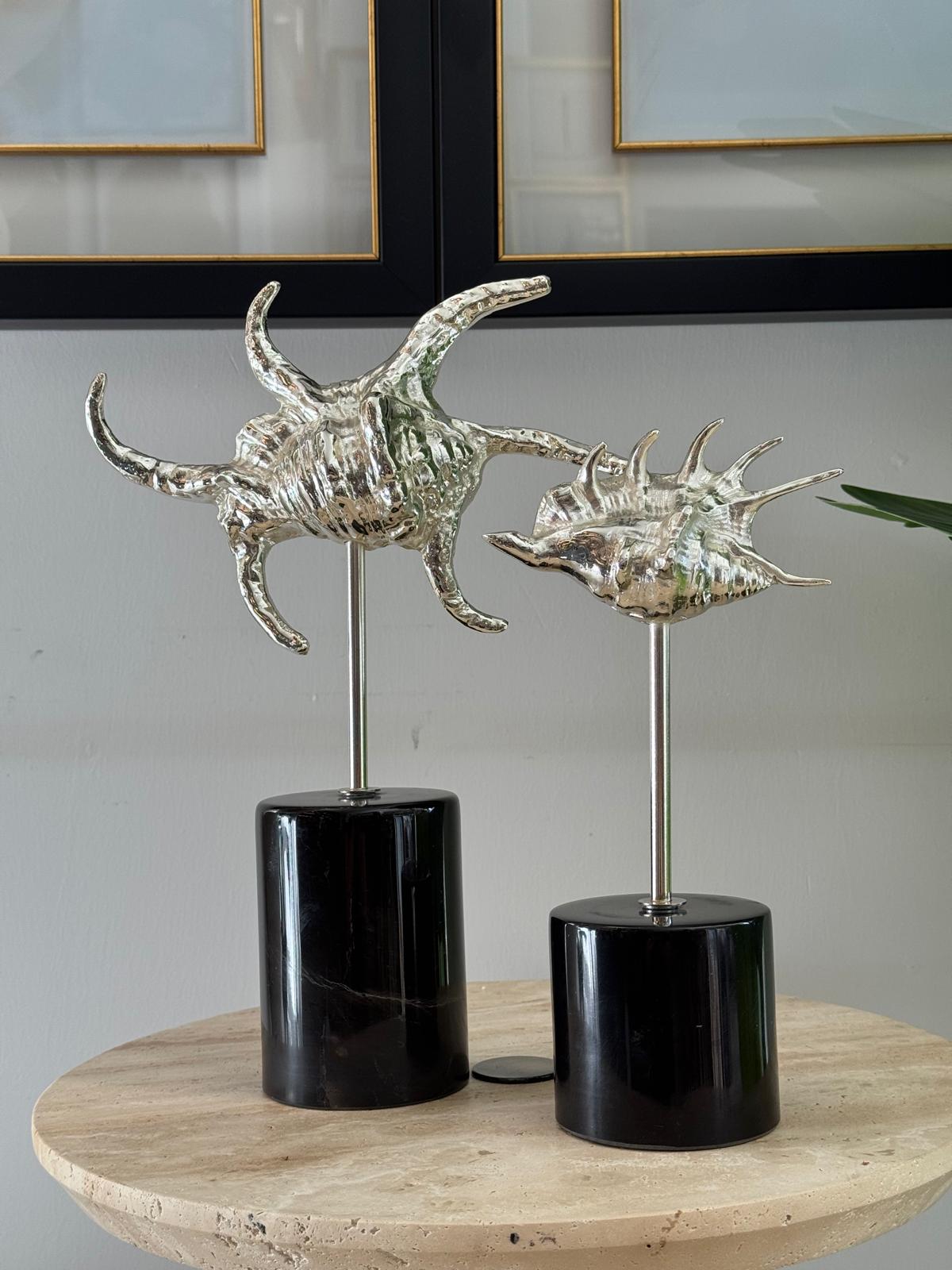 Mermer Kaideli Deniz Kabuğu 2li