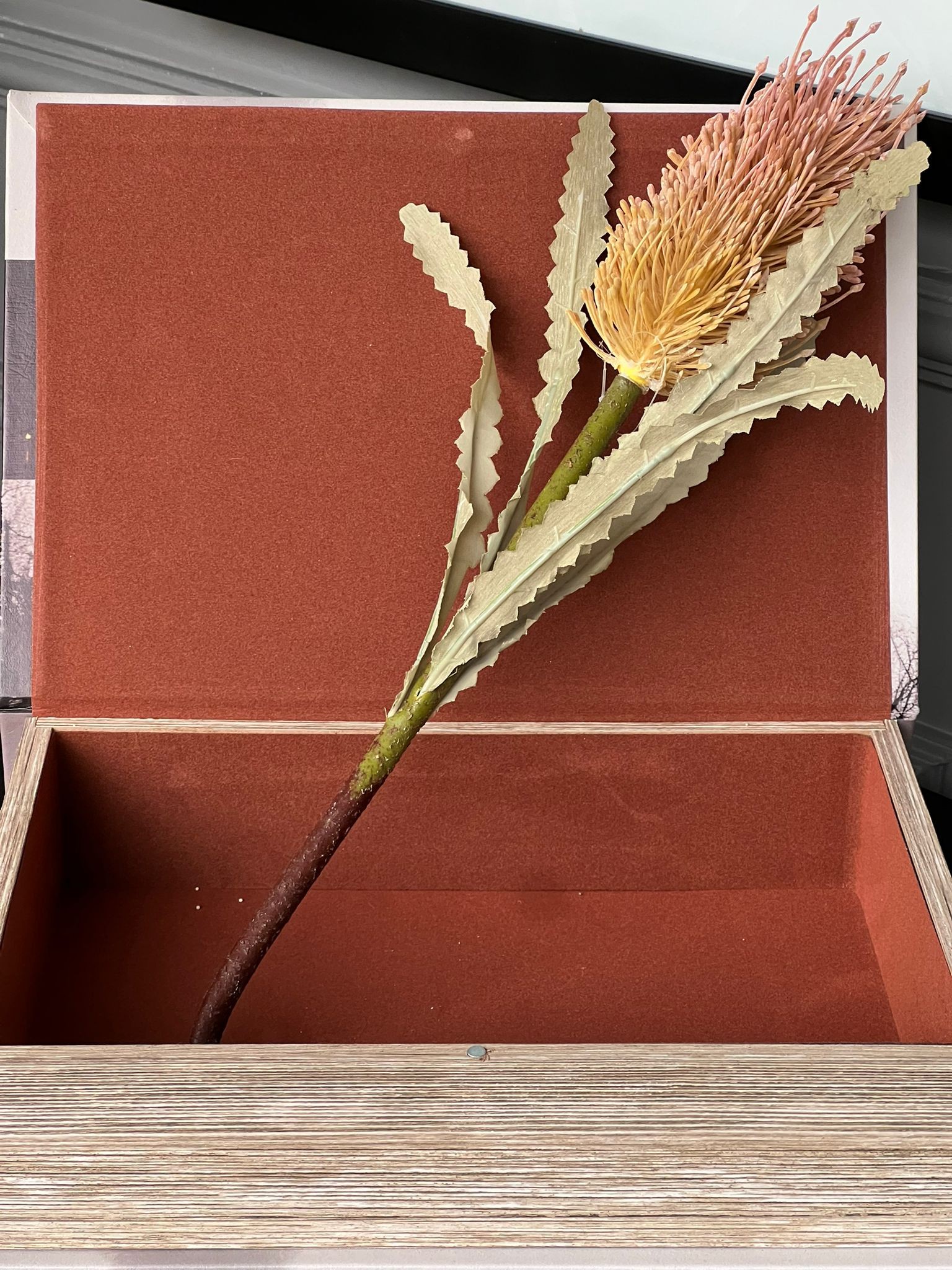 Banksai Krem Lila Rengi 48cm