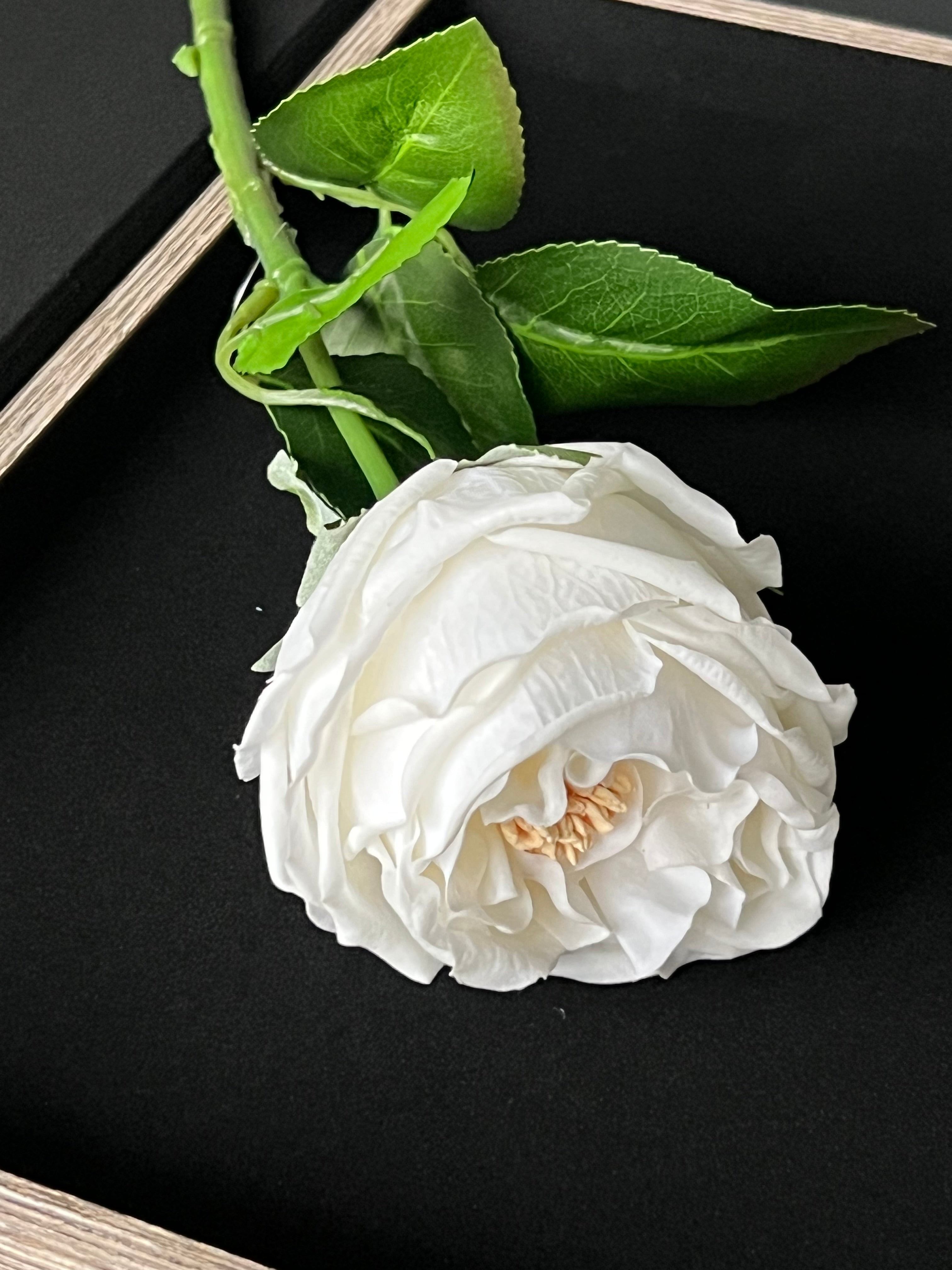 Beyaz Islak Şakayık Dal 45 cm