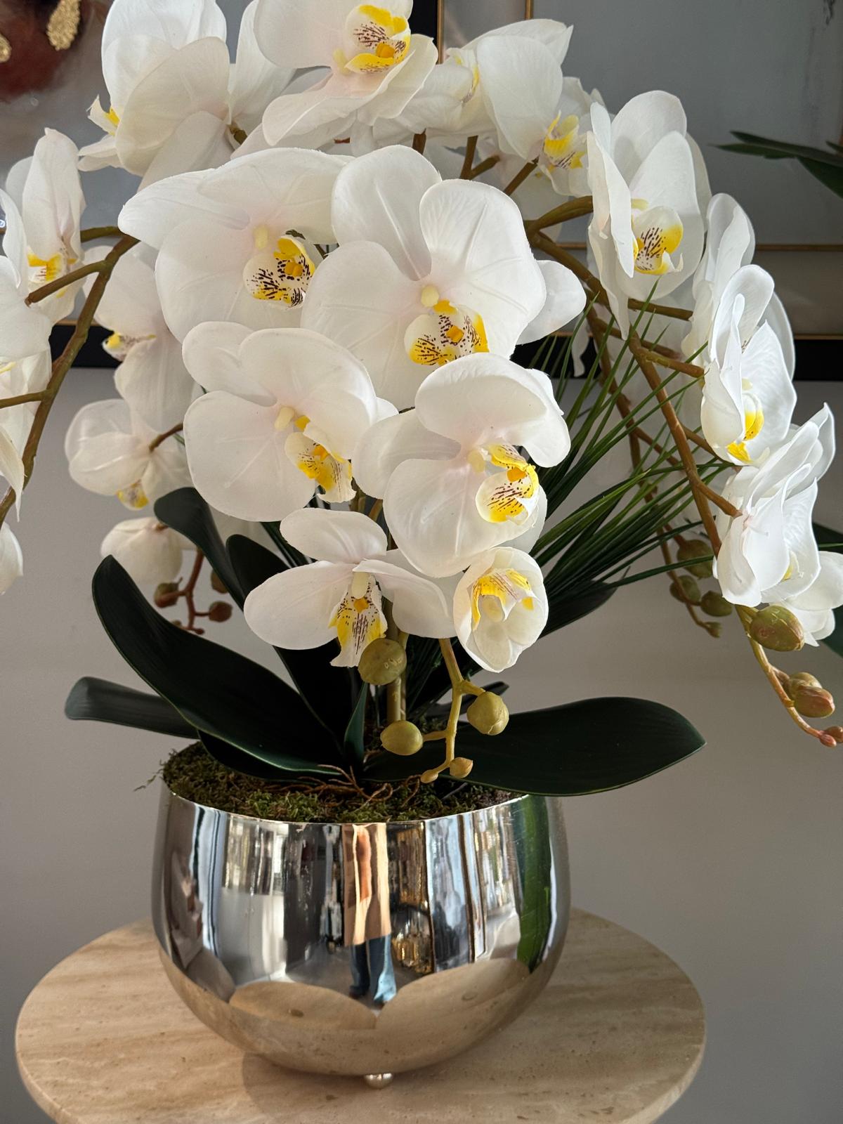 Gümüş Japon Vazoda Beyaz Lux Islak 5 Dal Orkide Aranjmanı