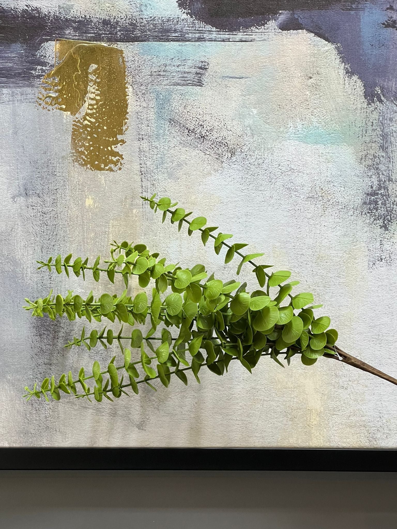 11 li Yeşil Okaliptüs 54cm