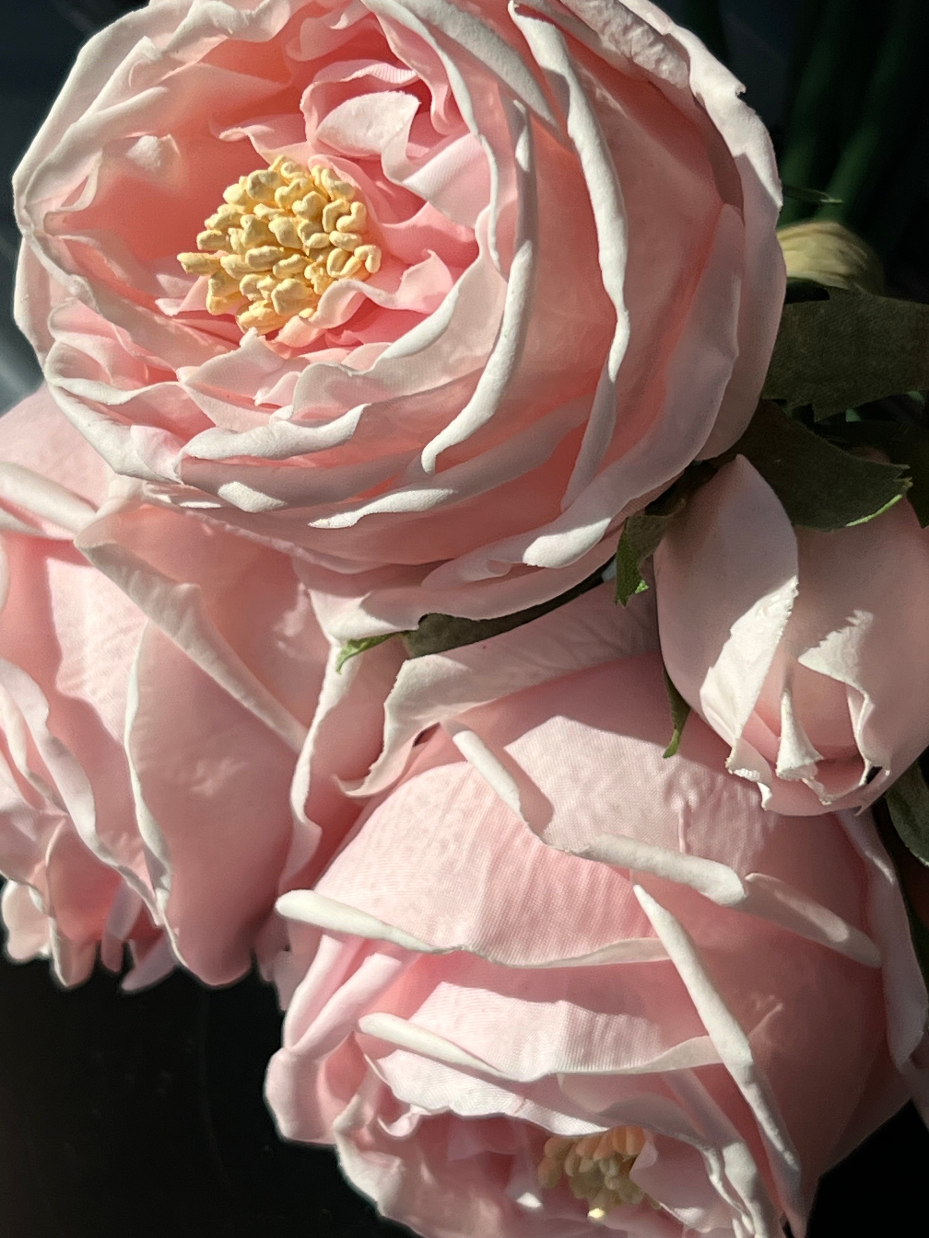 Pembe Şakayık Islak Doku  Lux Demet