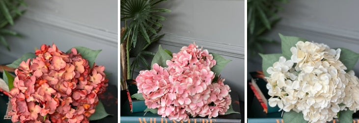 Ortanca Demet Pembe