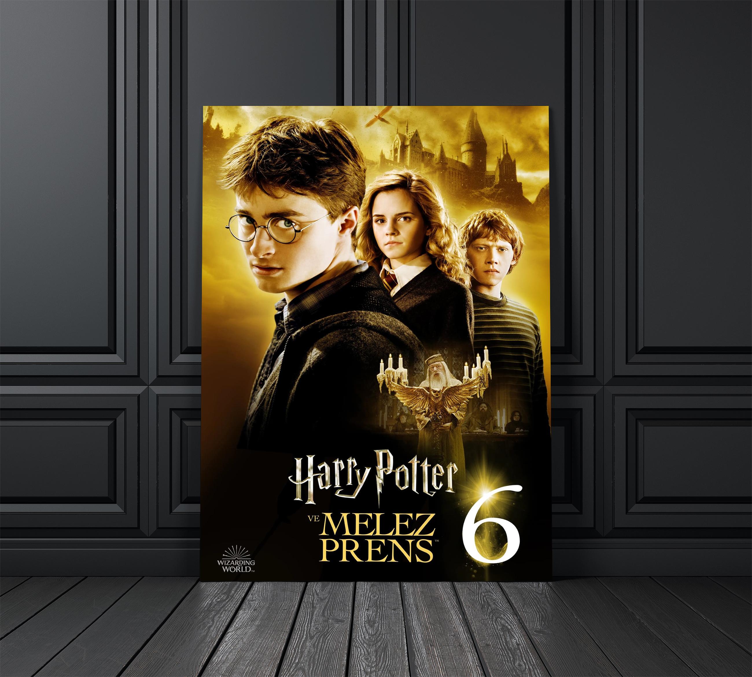 Harry Potter 6 Film Afişi Cam Tablo