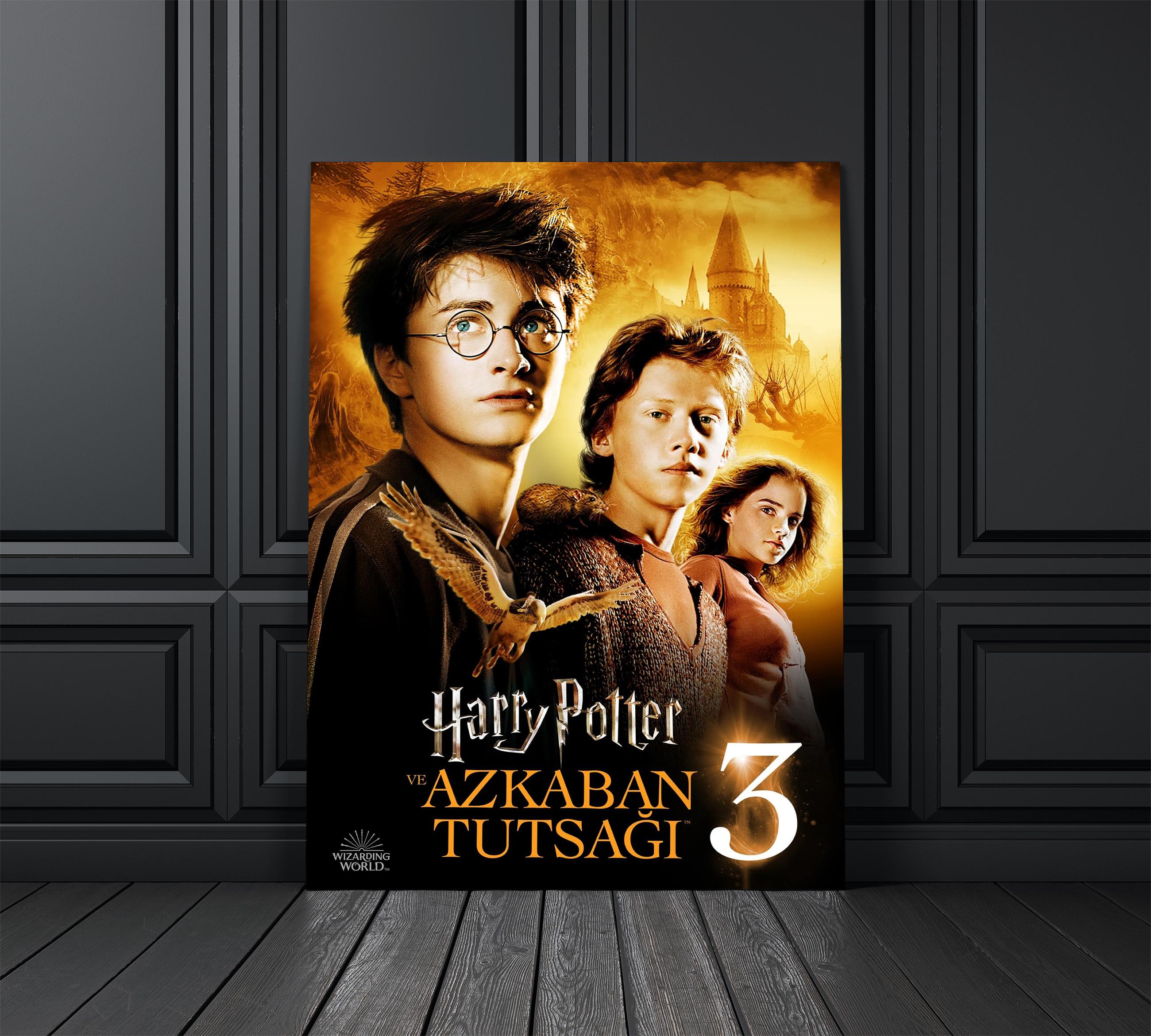 Harry Potter 3 Film Afişi Cam Tablo