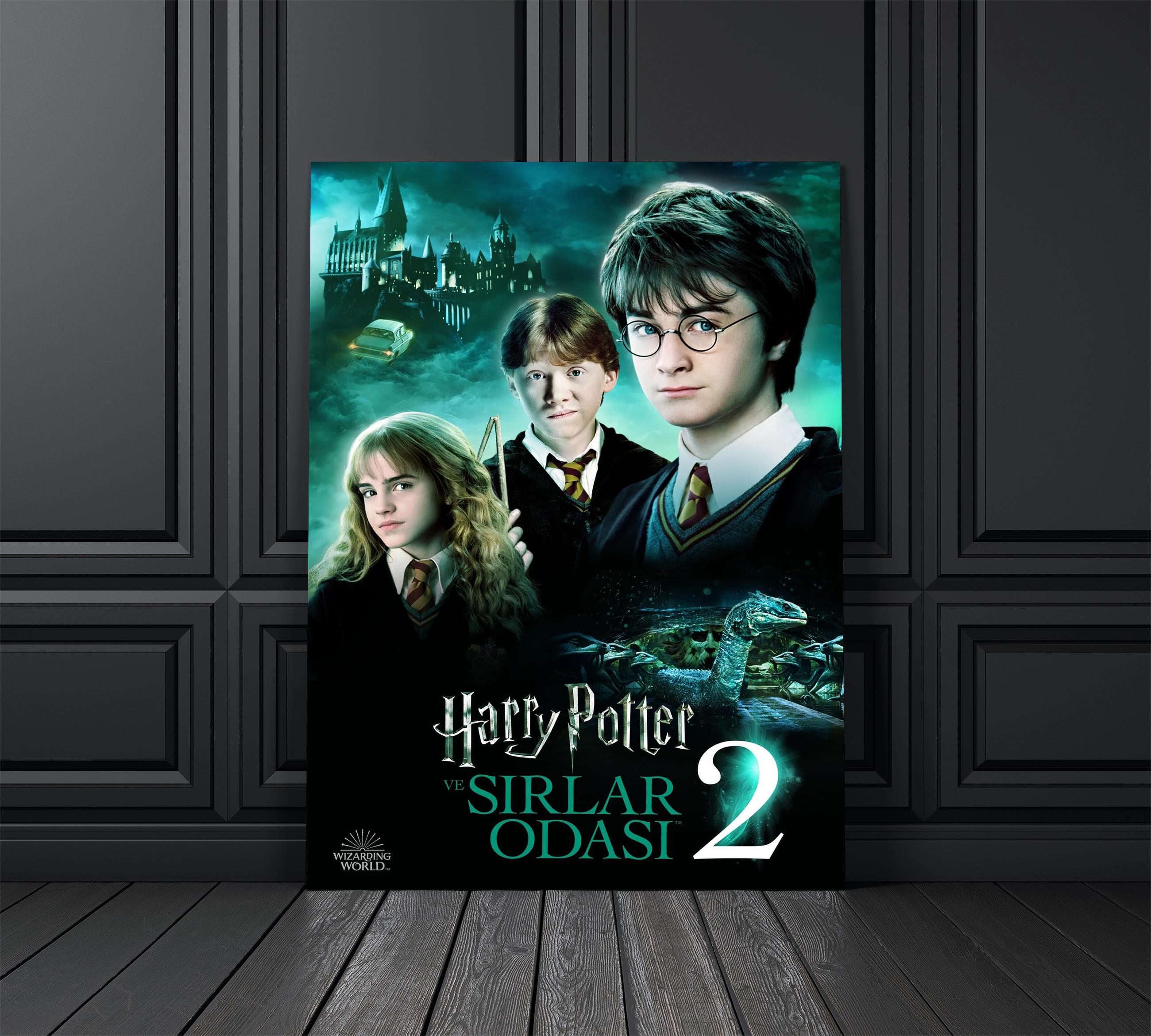 Harry Potter 2 Film Afişi Cam Tablo