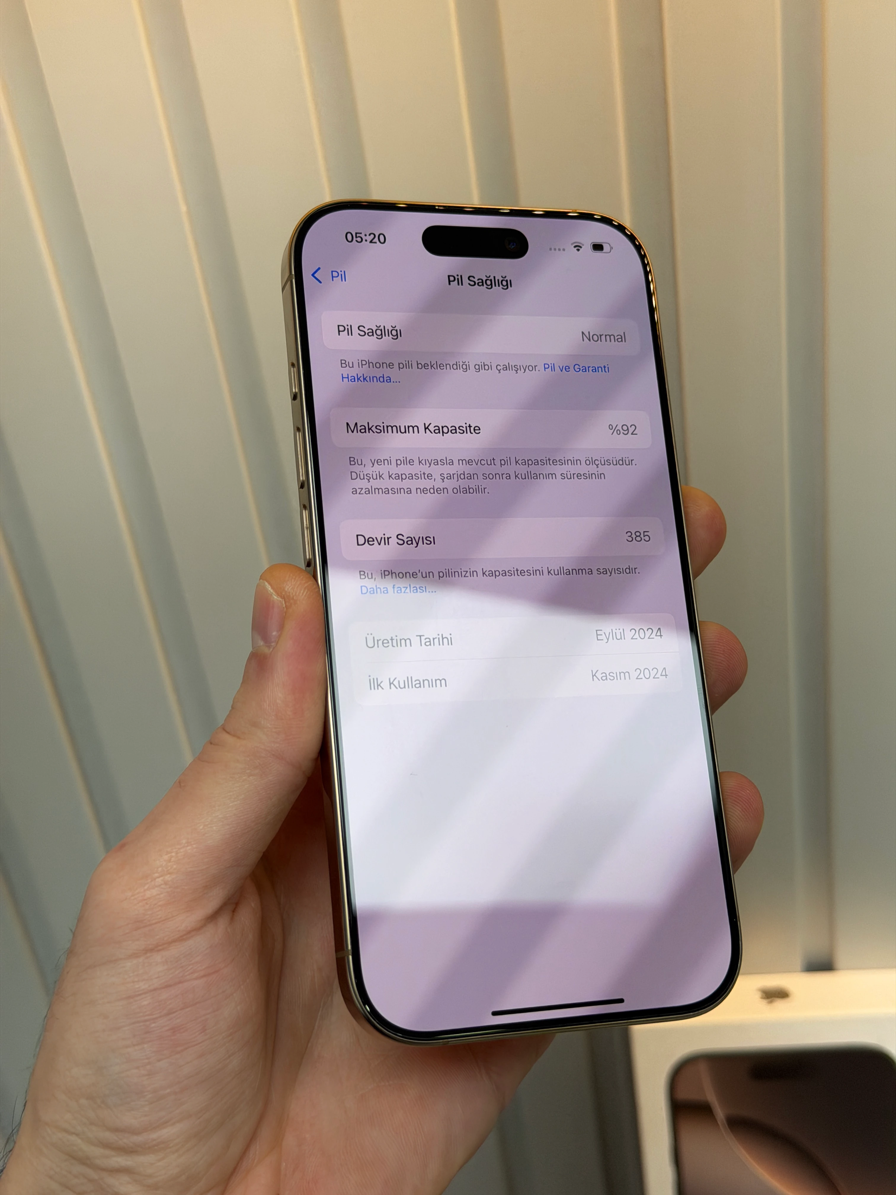 16 PRO 256 TR ÇÖL TİTANYUM 11 AY GARANTİLİ 