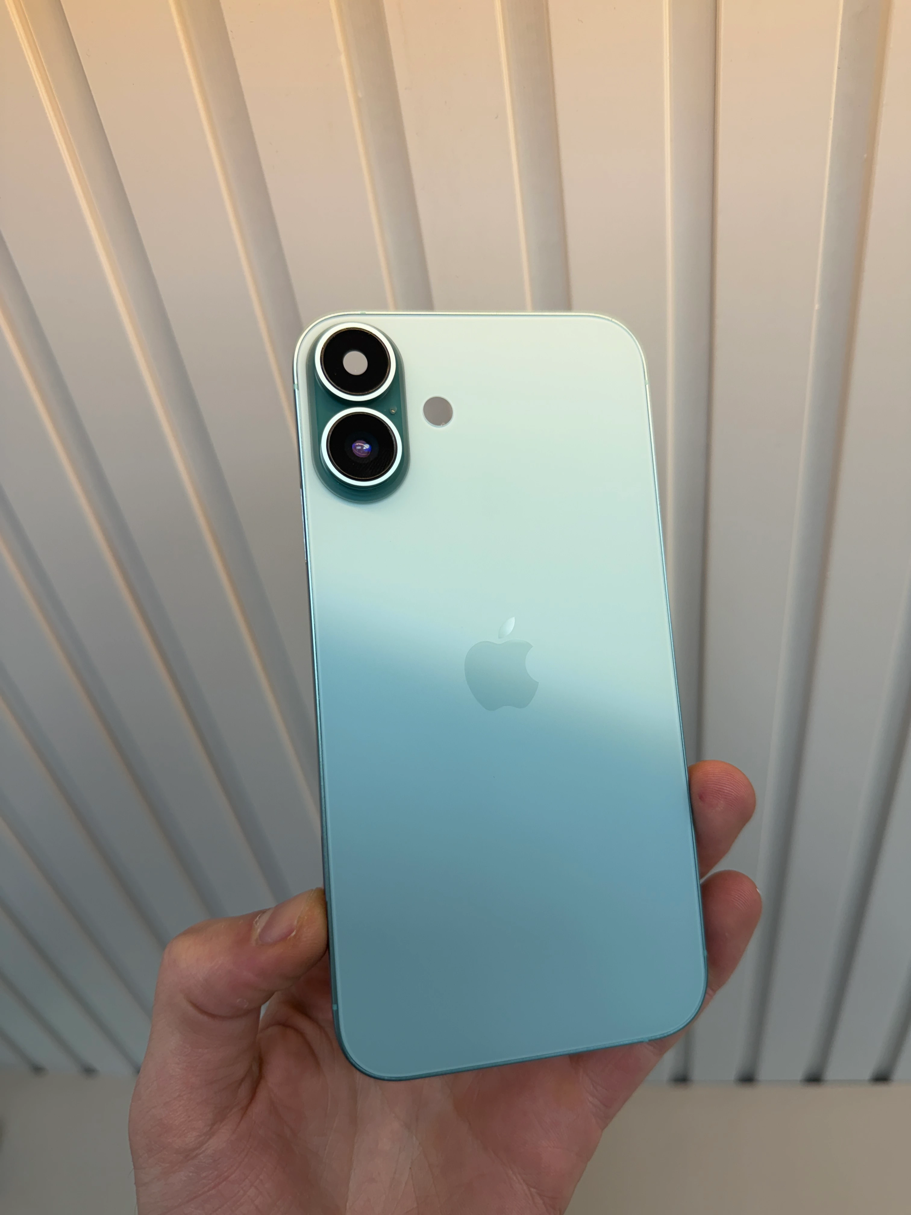 XR UYUMLU 16 DÖNÜŞÜM KASASI