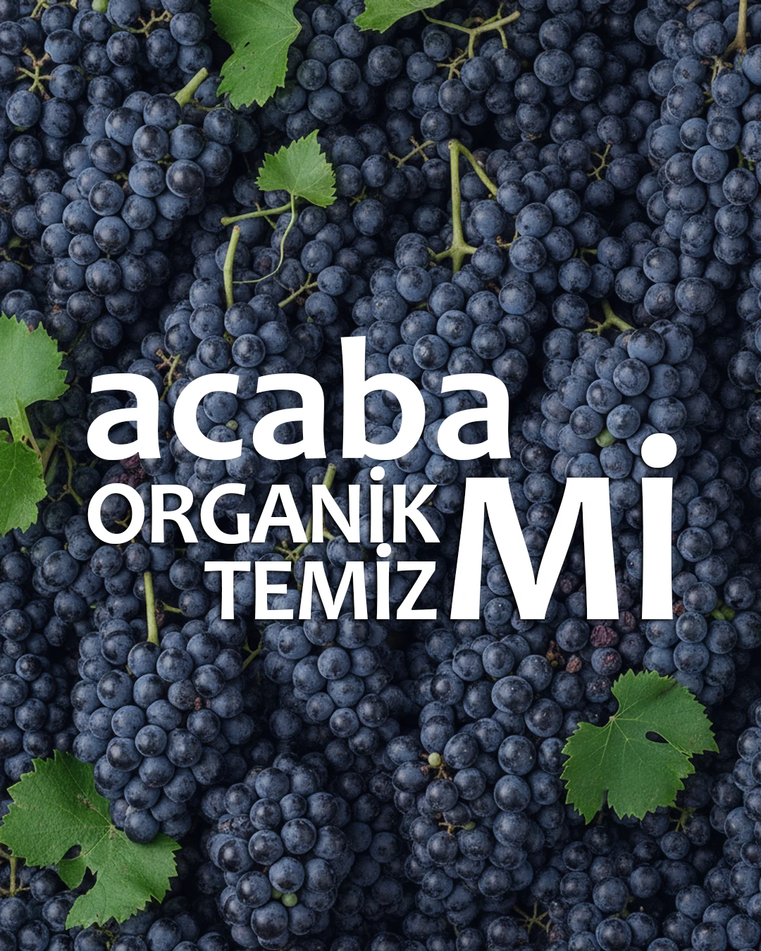 Wie zuverlässig ist das Bio-Siegel?